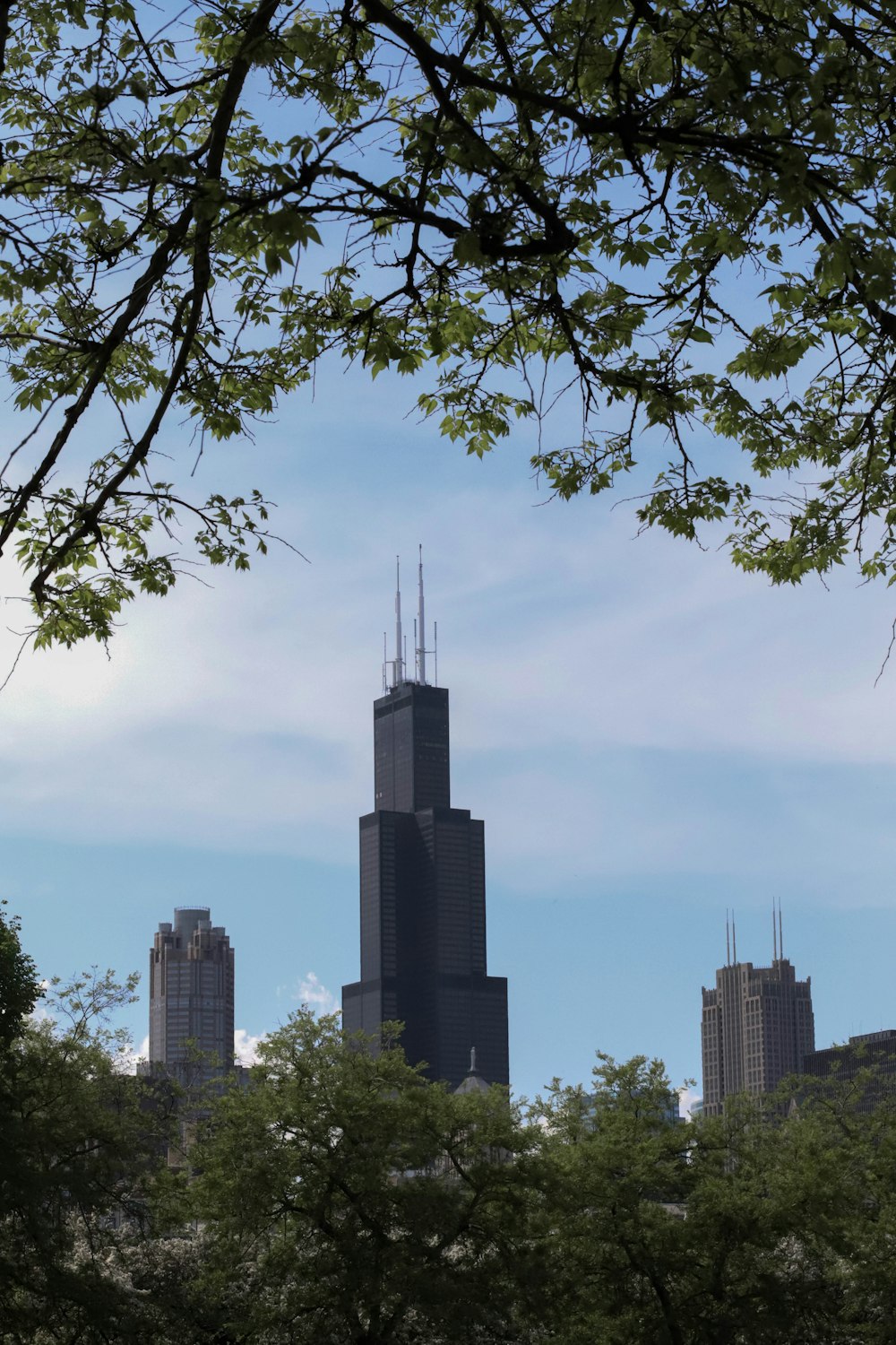 a tall building with a spire in the middle of trees