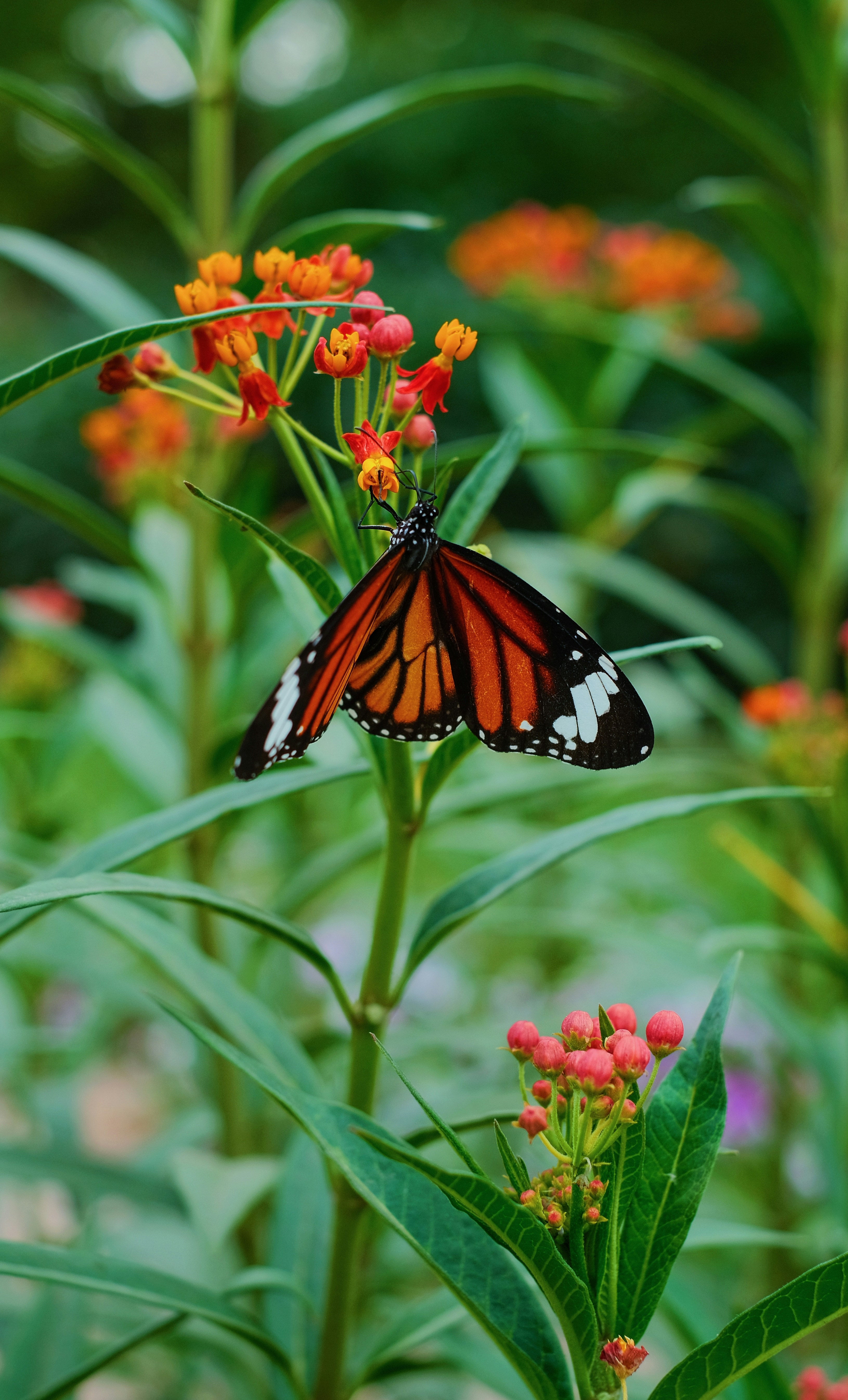 Photo by ravinepz
