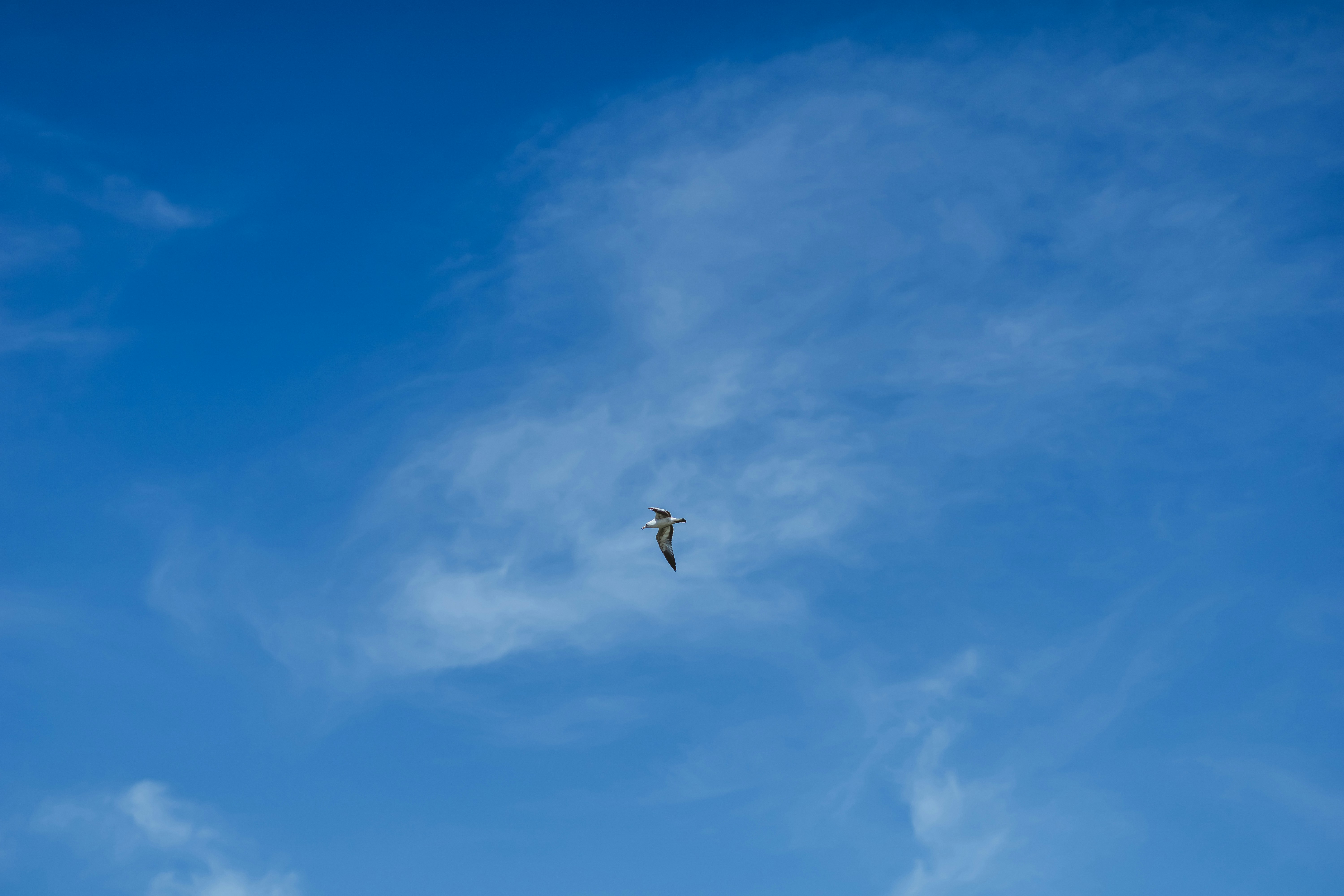 Photo by francescalbert93