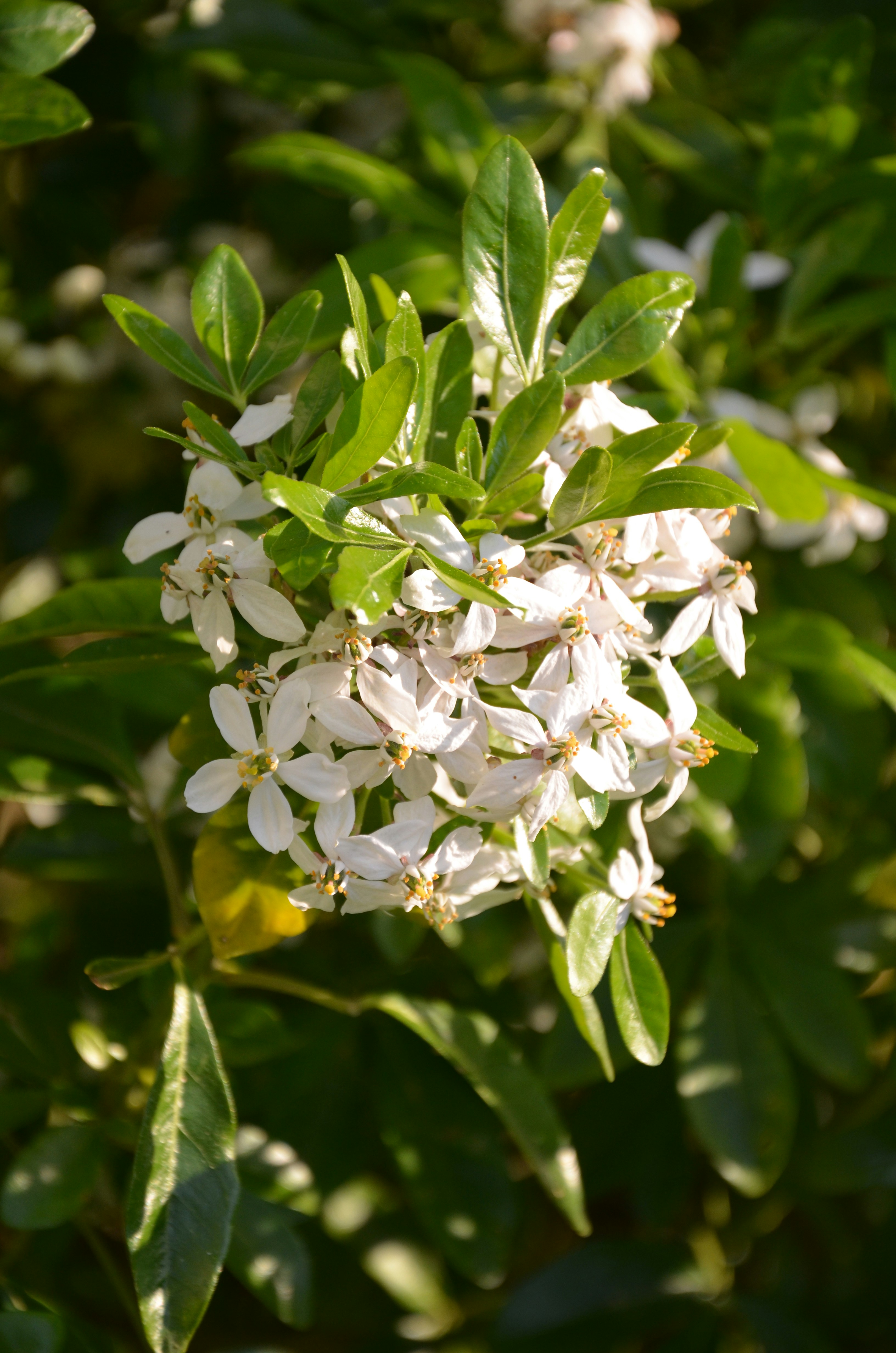 Photo by rosannagaddoni