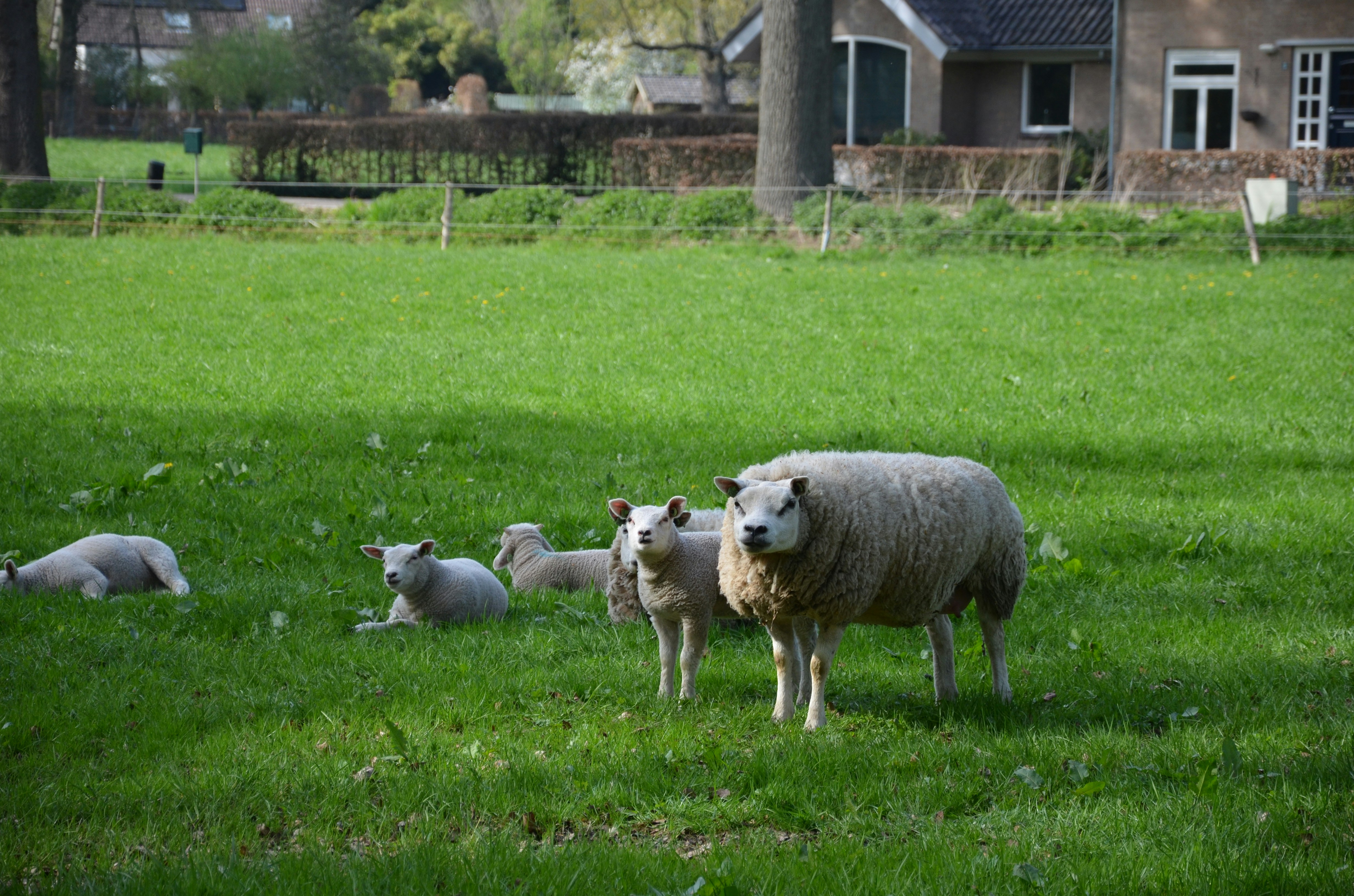 Photo by rosannagaddoni