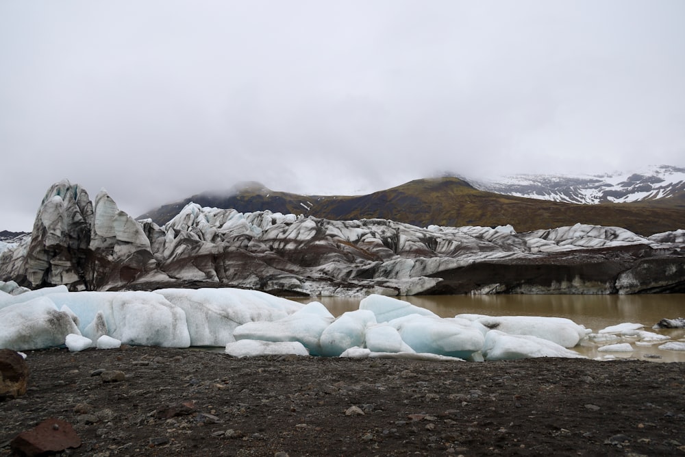 Eine Gruppe von Eisbergen sitzt auf einem felsigen Strand