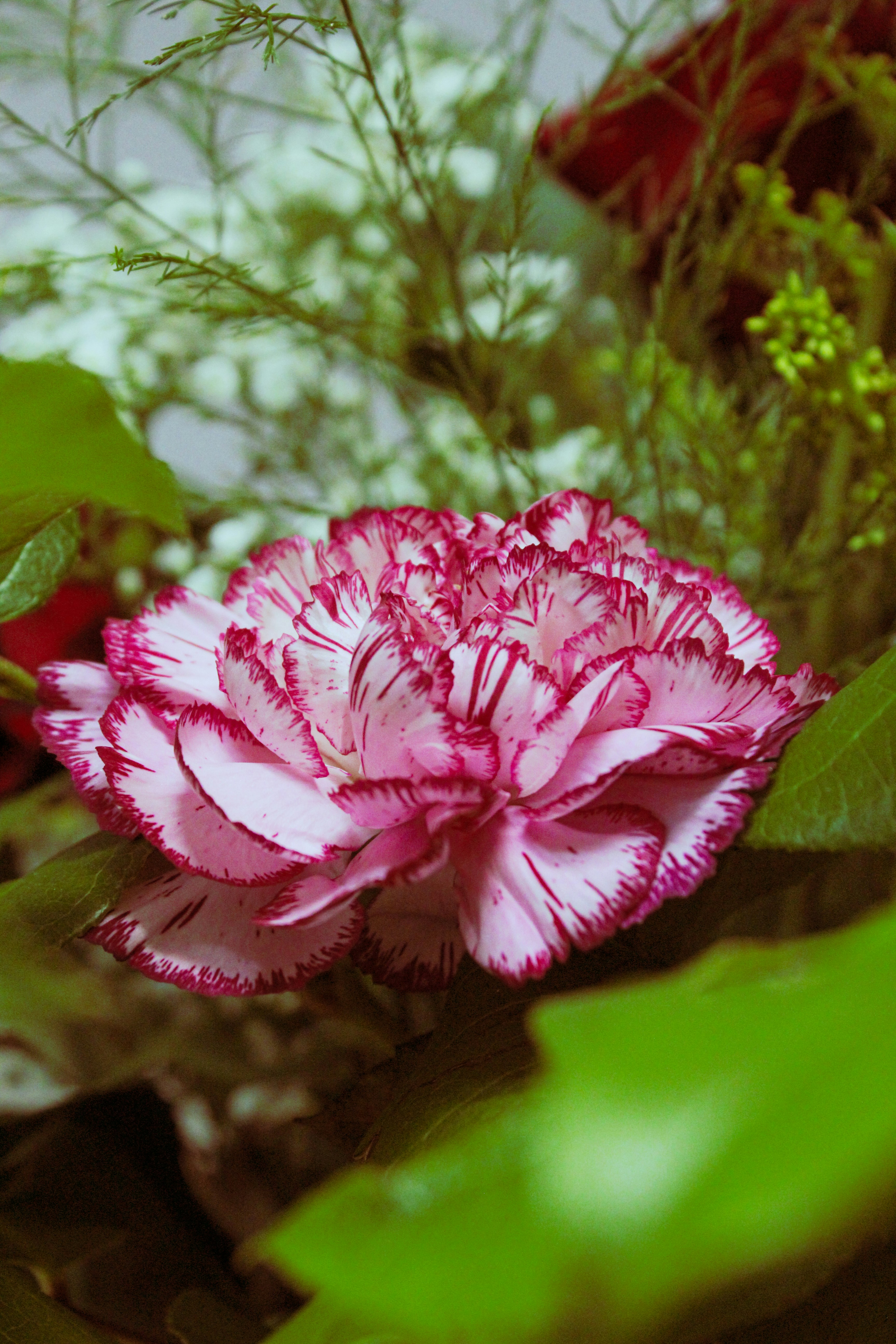 Photo by lilyycamillephoto