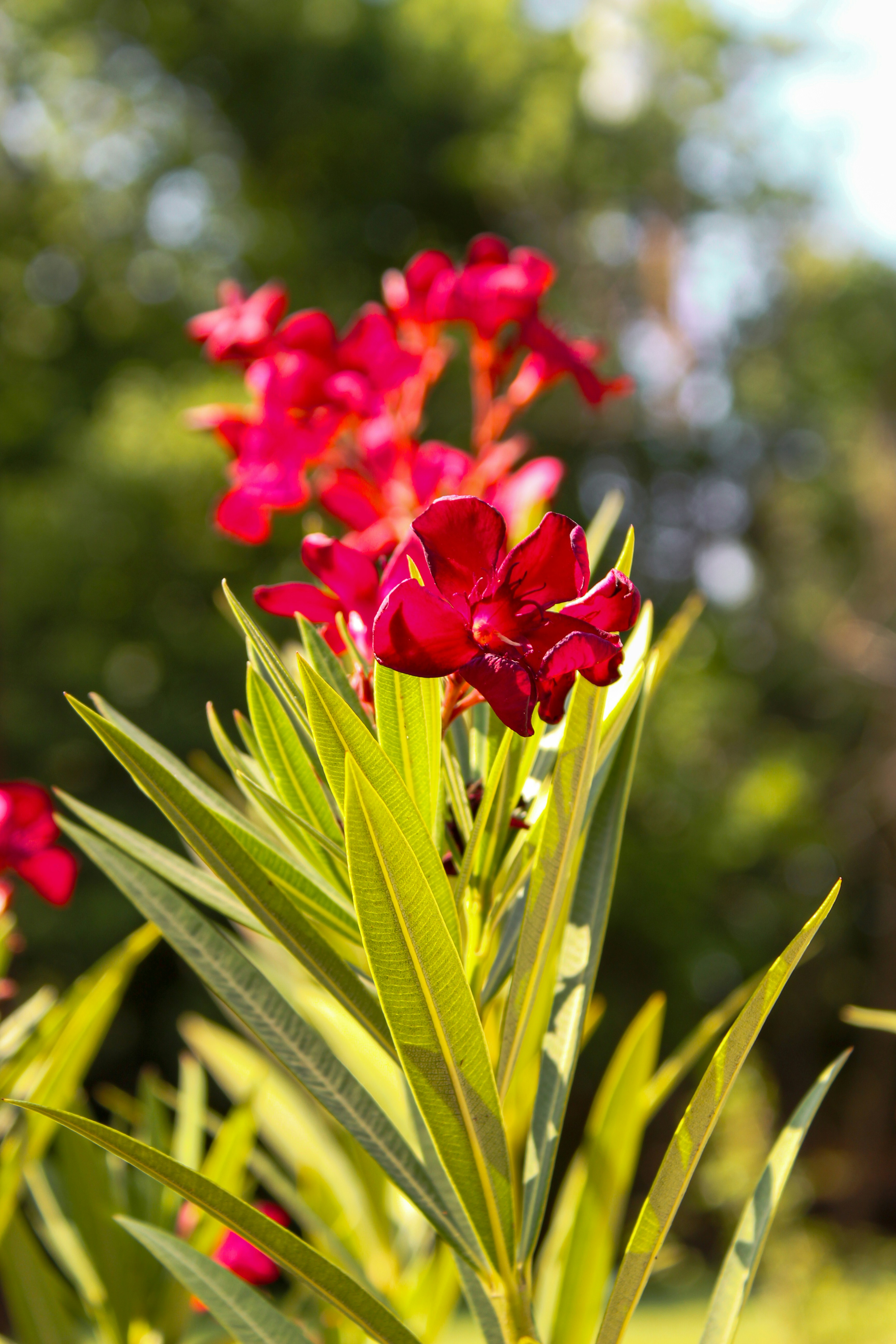 Photo by lilyycamillephoto