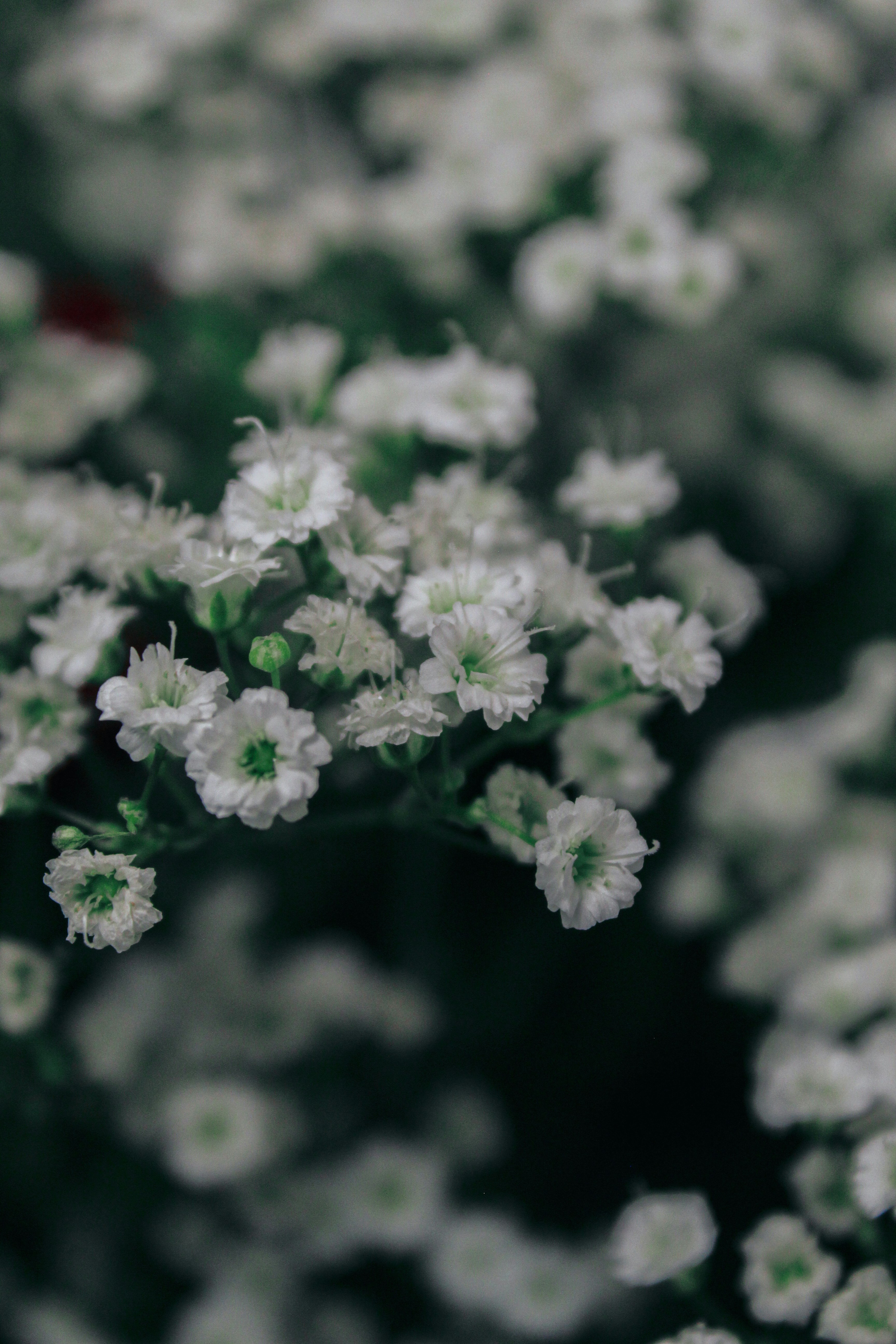 Photo by lilyycamillephoto