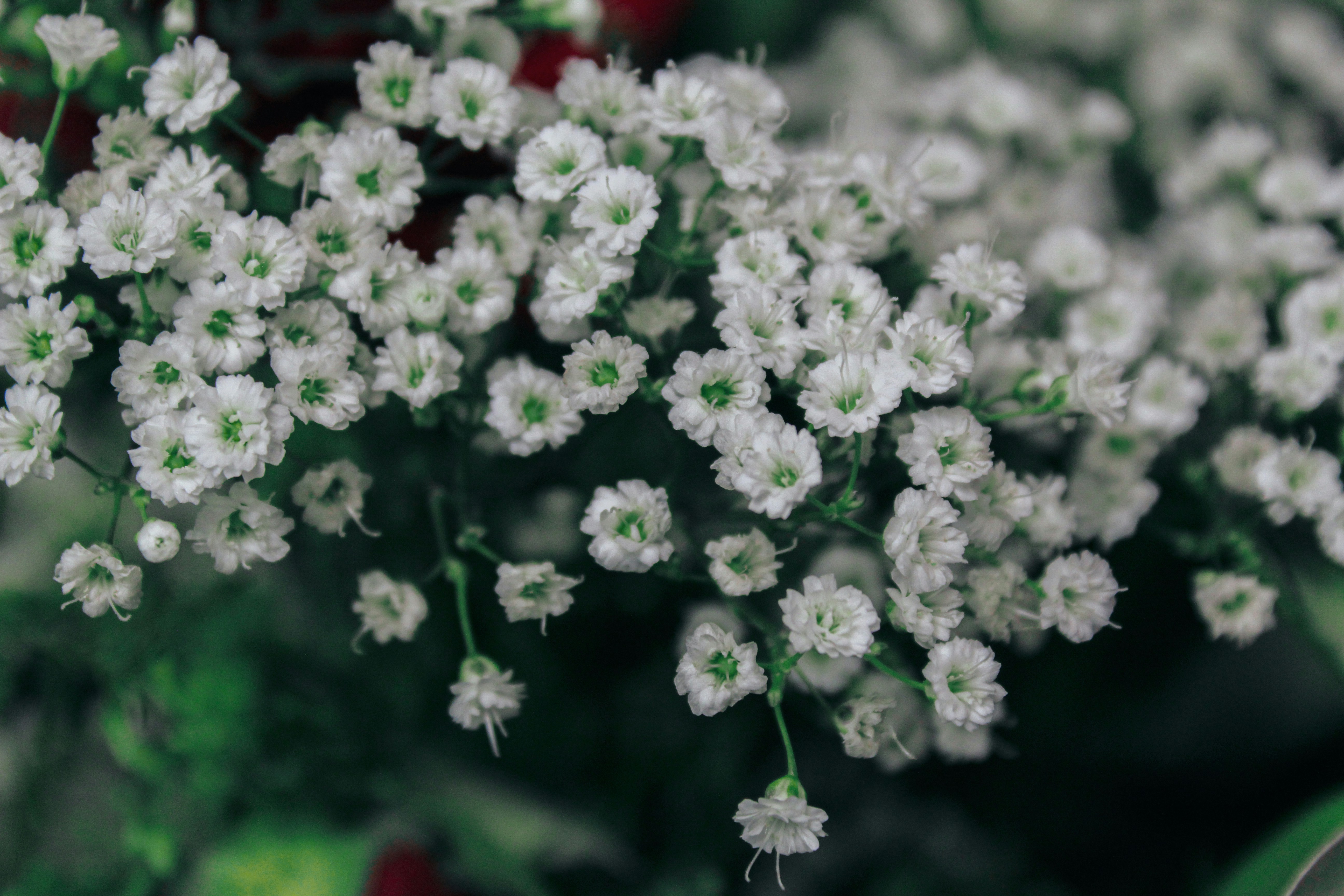 Photo by lilyycamillephoto