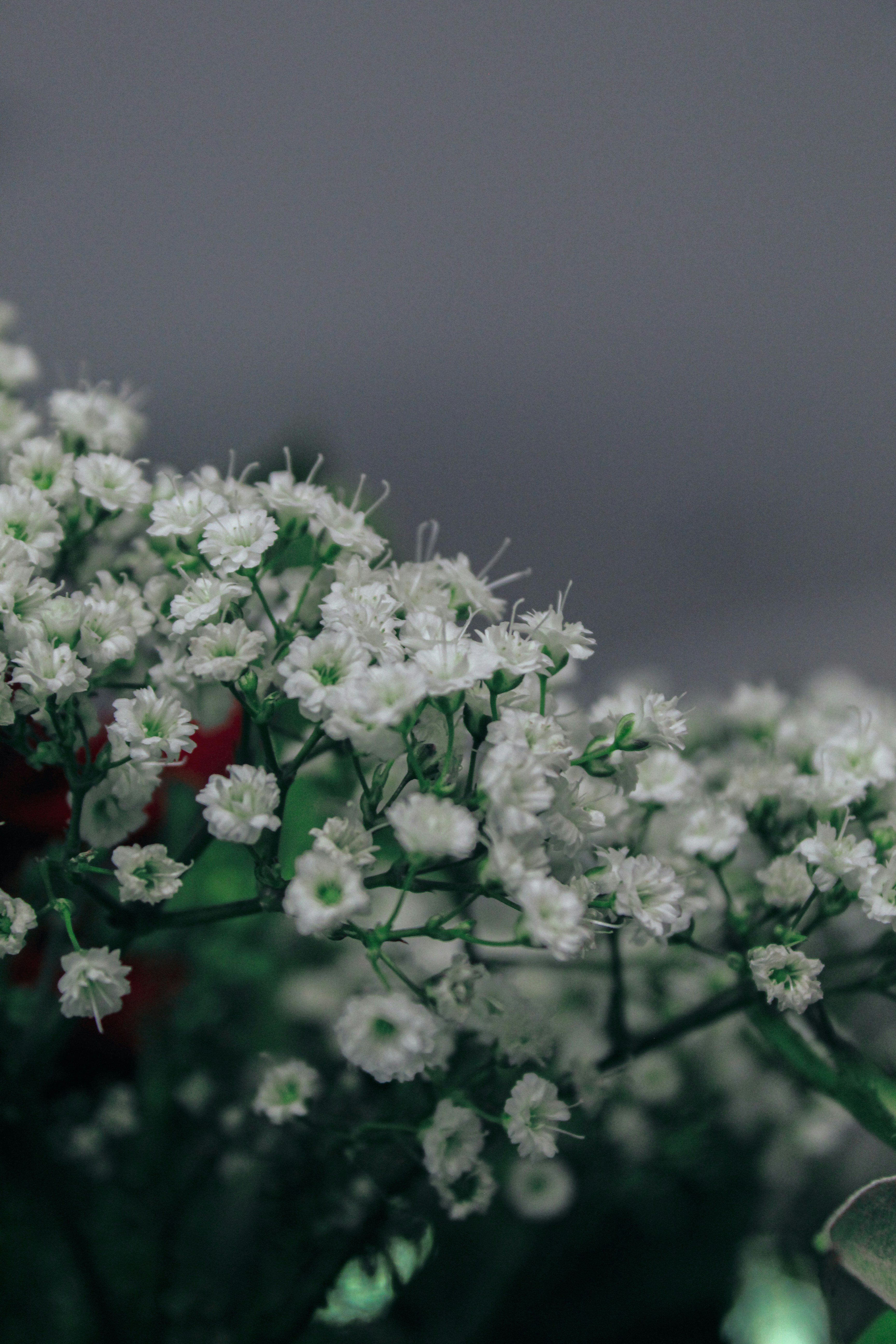 Photo by lilyycamillephoto