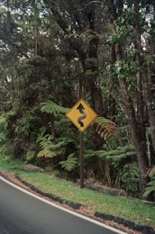 a yellow road sign sitting on the side of a road