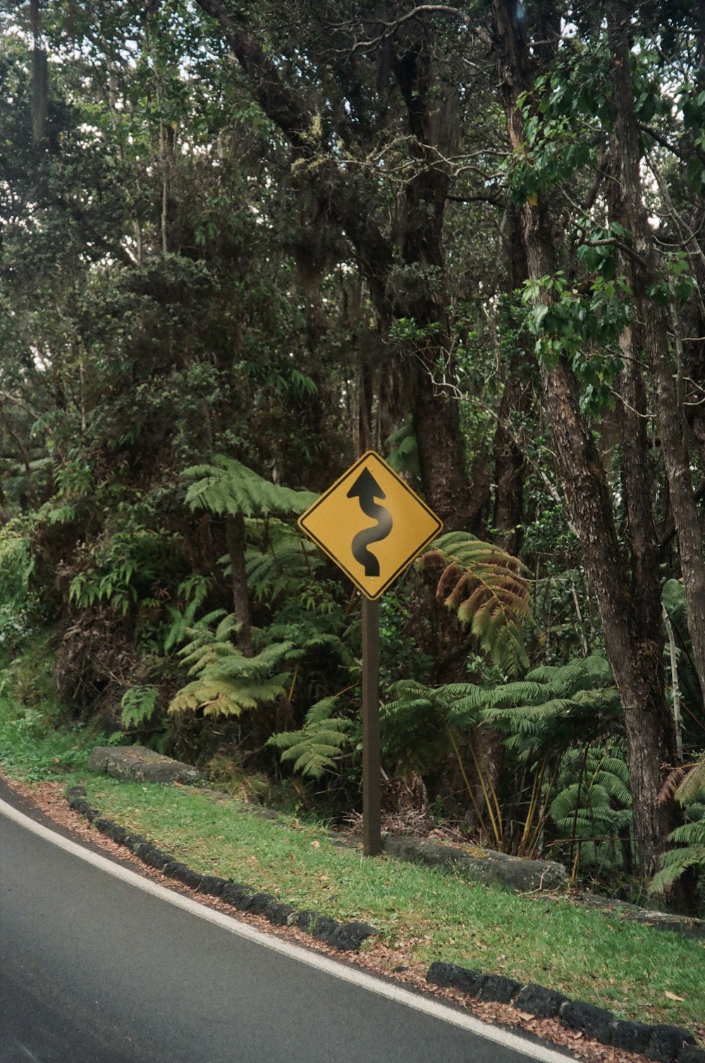 a yellow road sign sitting on the side of a road