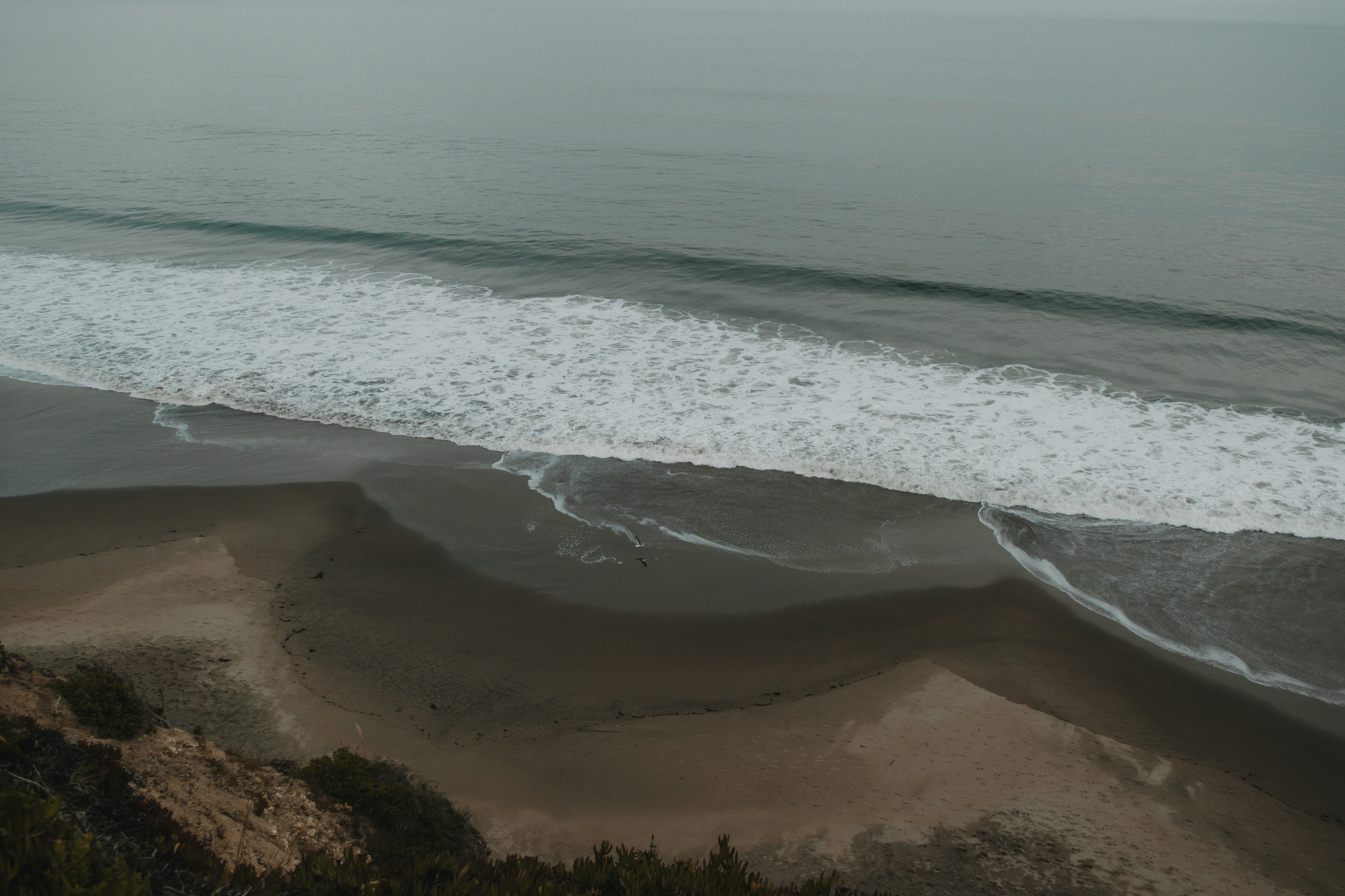 Photo by sydmoore6