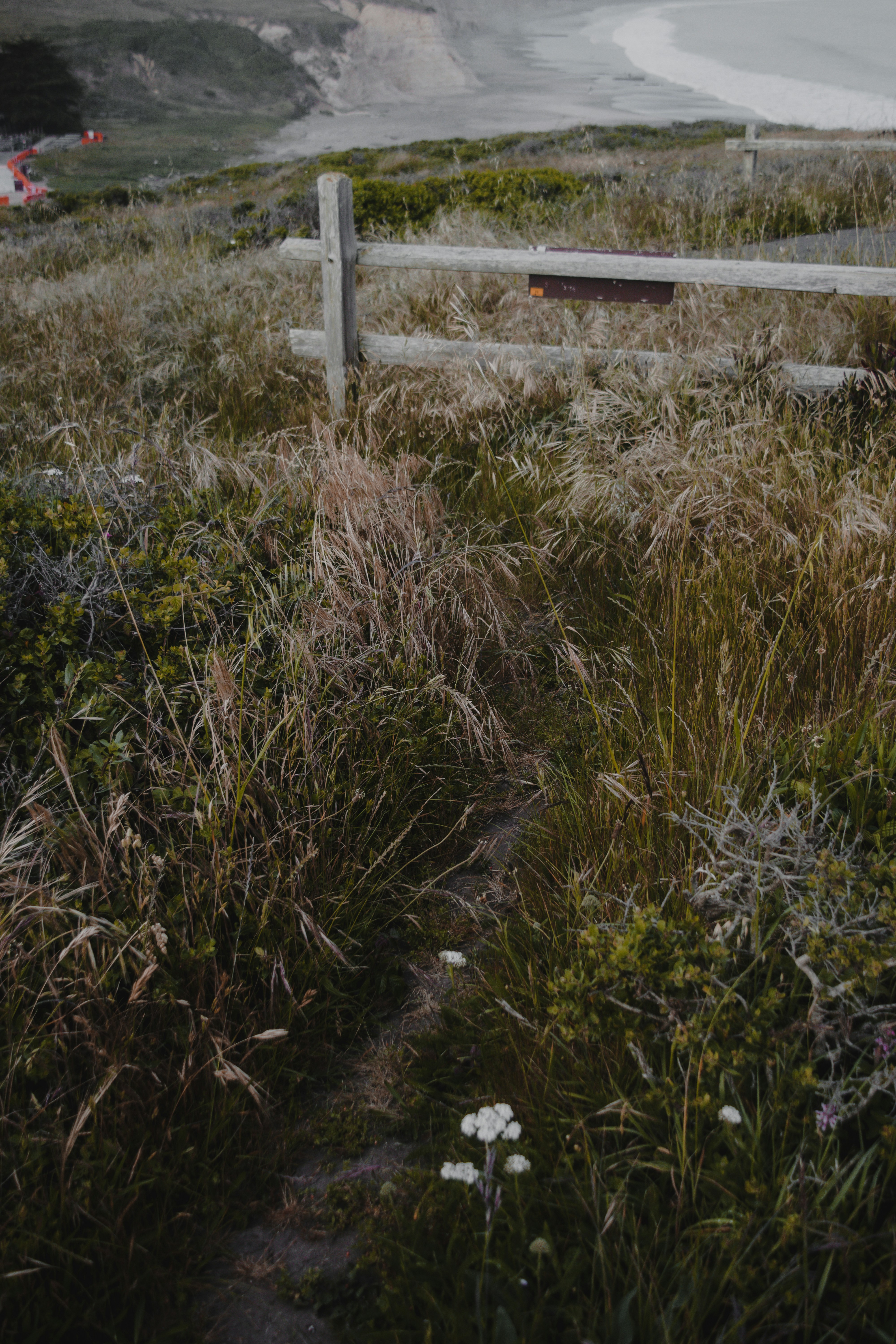 Photo by sydmoore6
