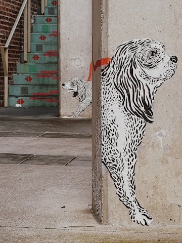 A mural of two black and white dogs is painted on the corner of a concrete wall. The larger dog appears to be in the foreground, with detailed line work illustrating its fur. The smaller dog is positioned behind it, partially hidden. A red stripe extends across the wall behind the dogs. In the background, there is a staircase with turquoise steps and red decorative patterns, leading up to a brick wall.