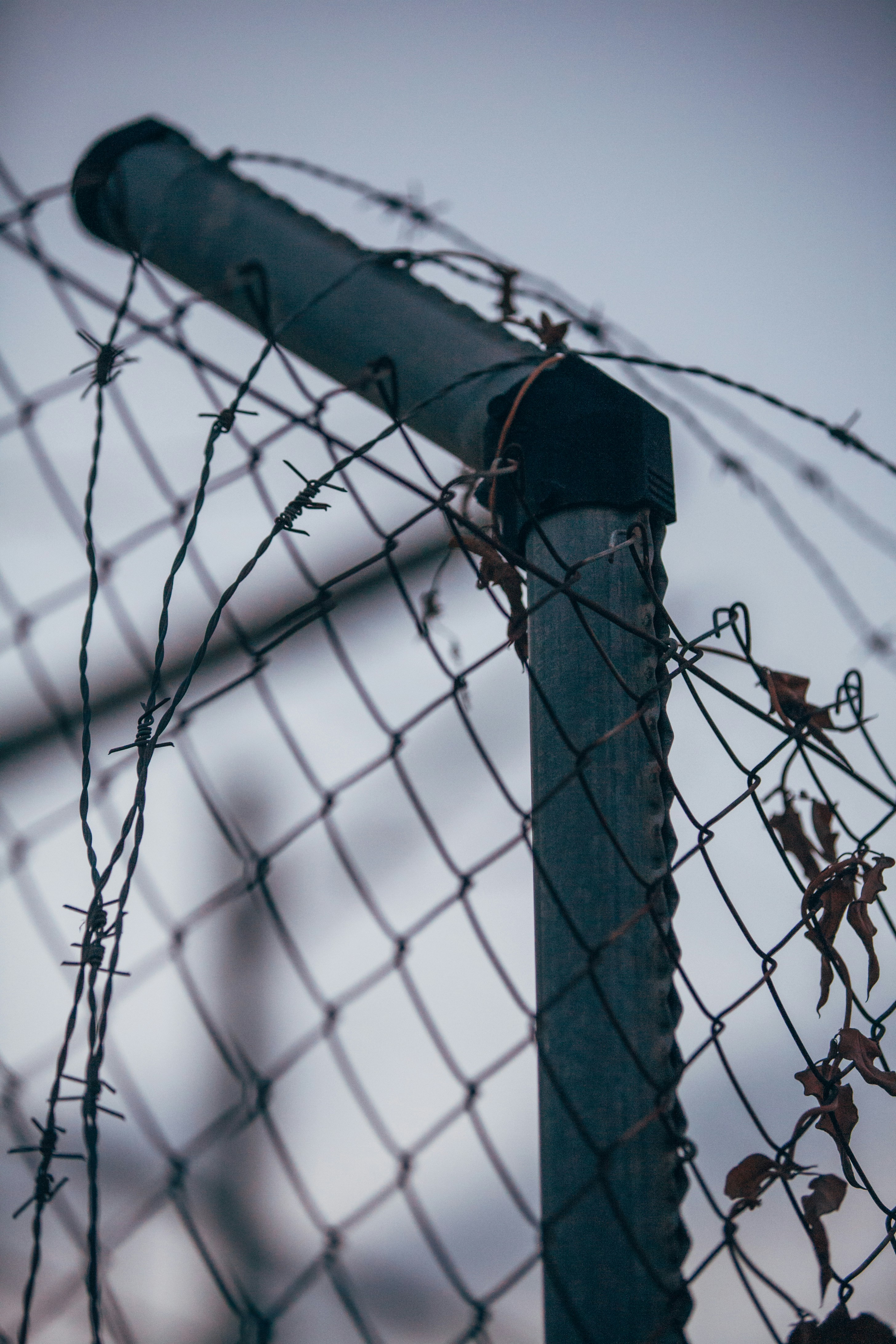 Photo by skatienstuksuma