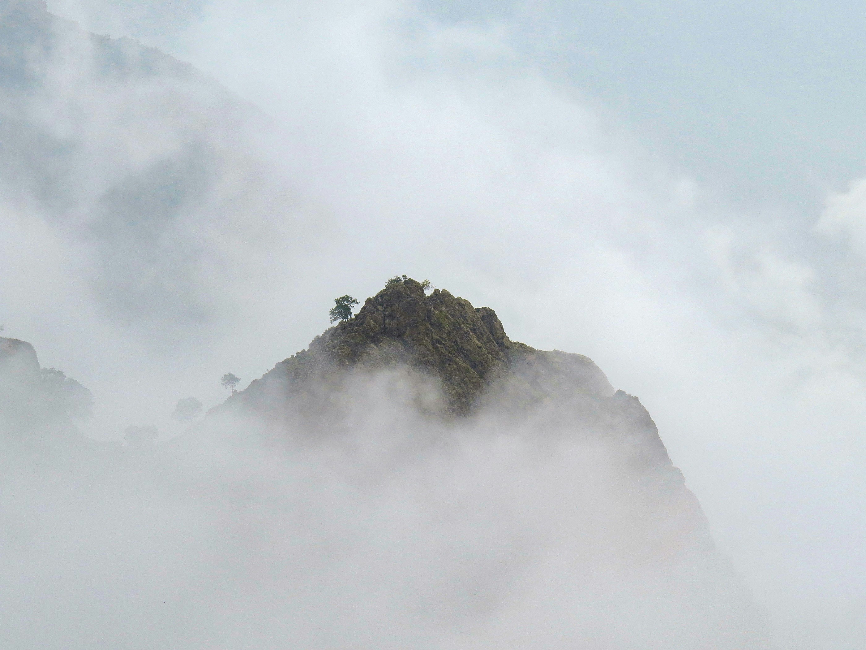 Photo by aliarjmandi