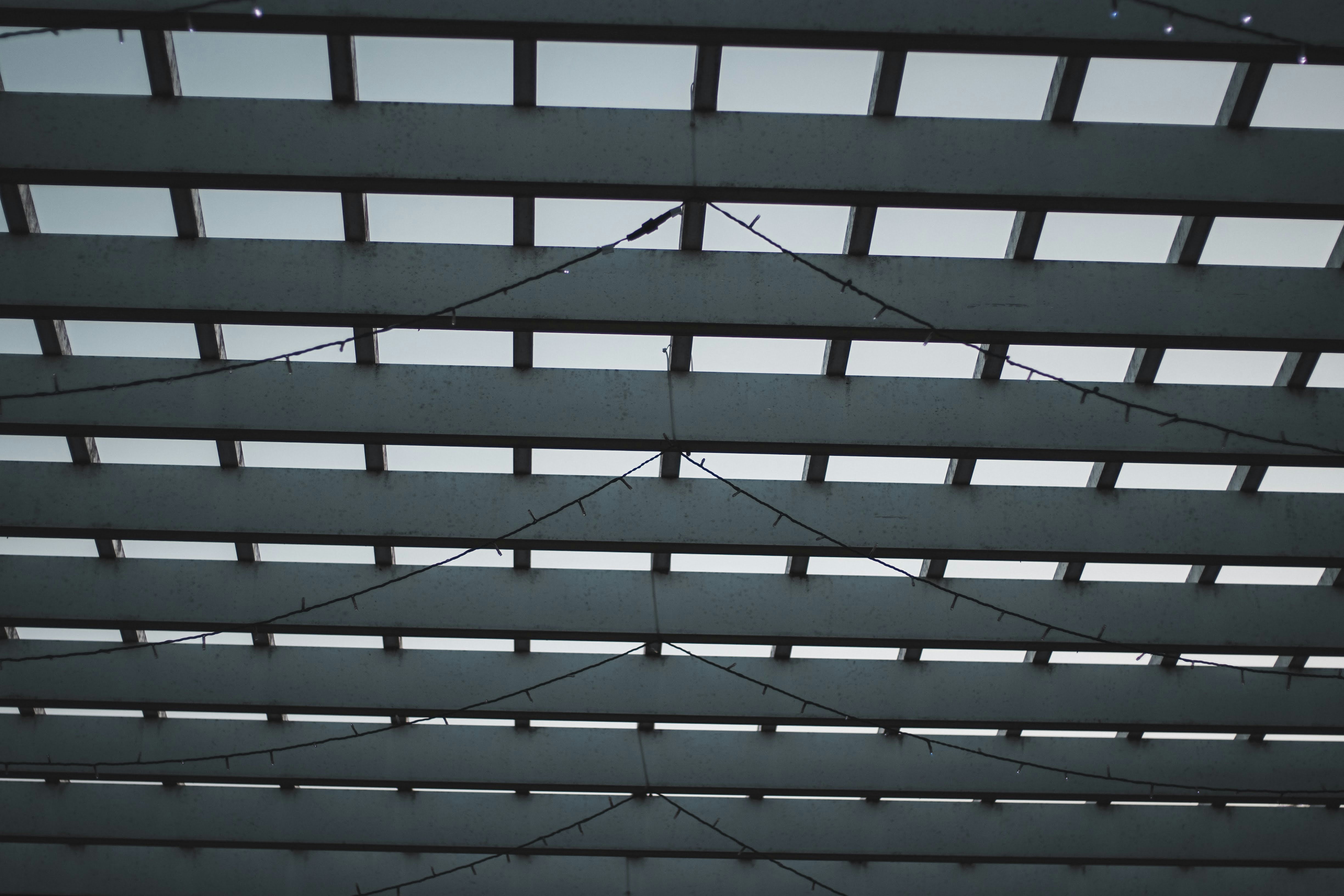 Photo by brice_cooper18