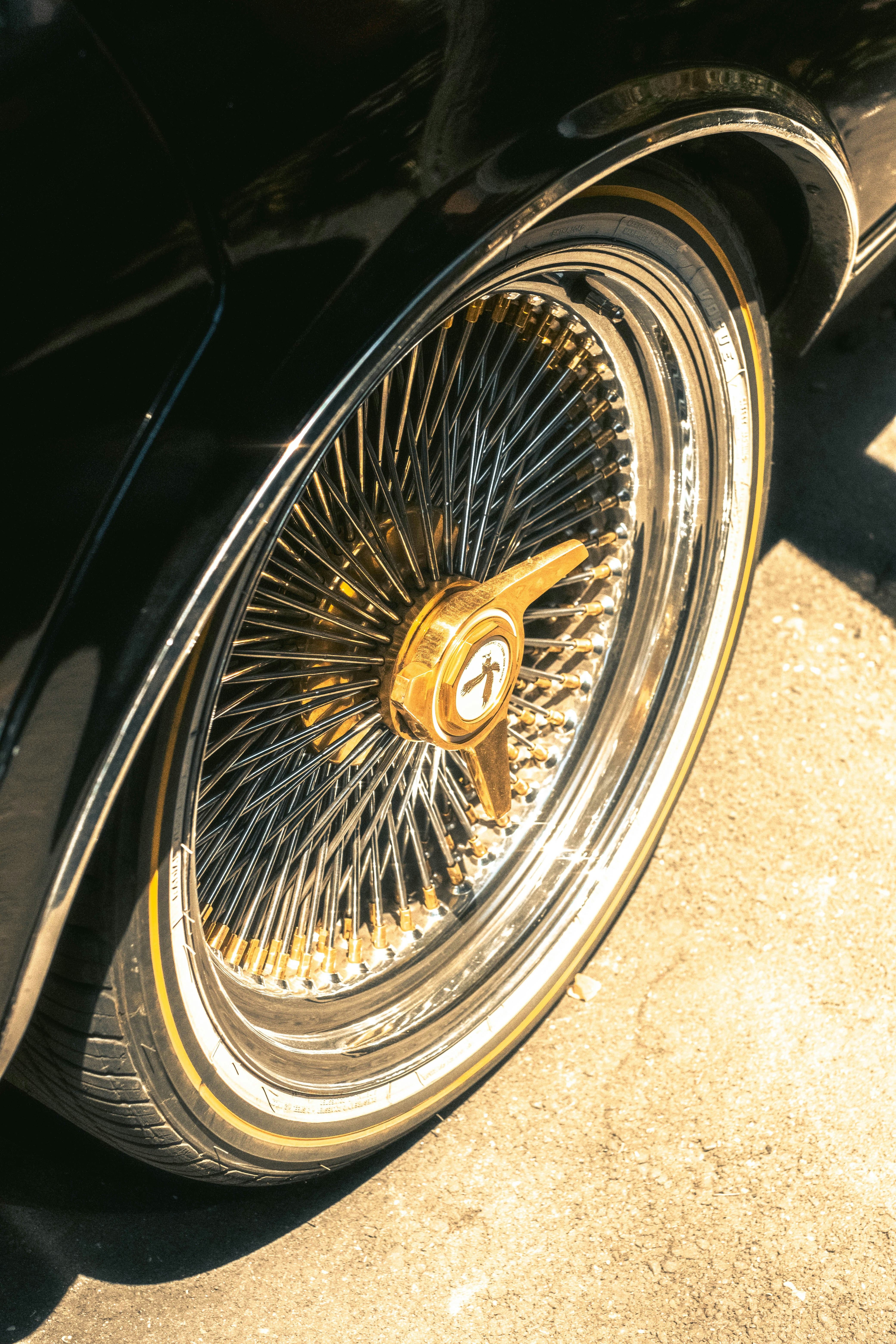 Photo by mattxfotographs