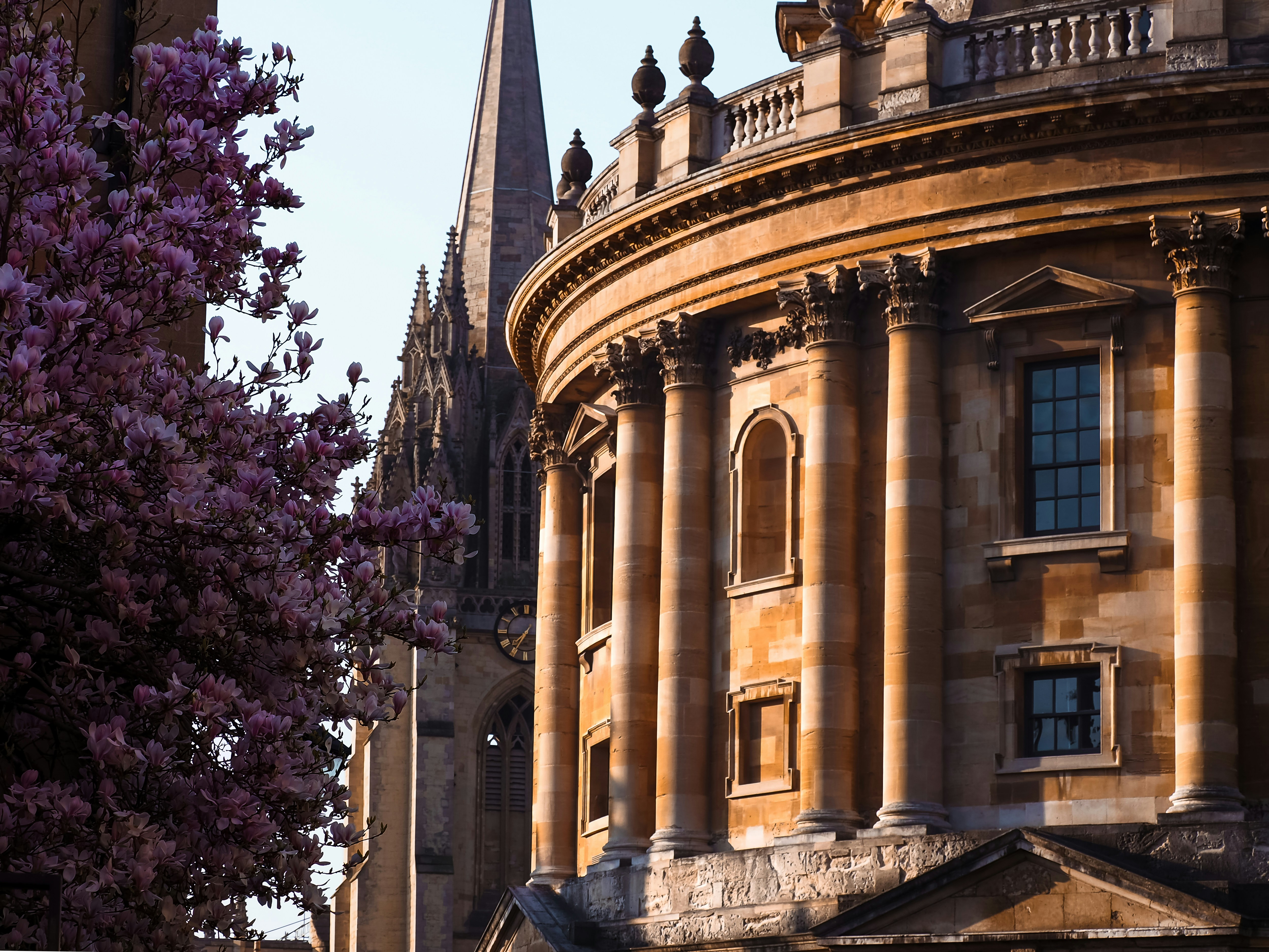 Photo by robotchicken