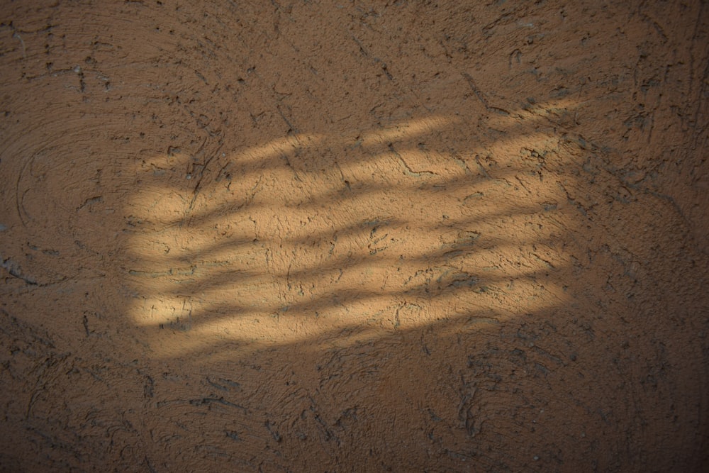 a shadow of a person on a skateboard