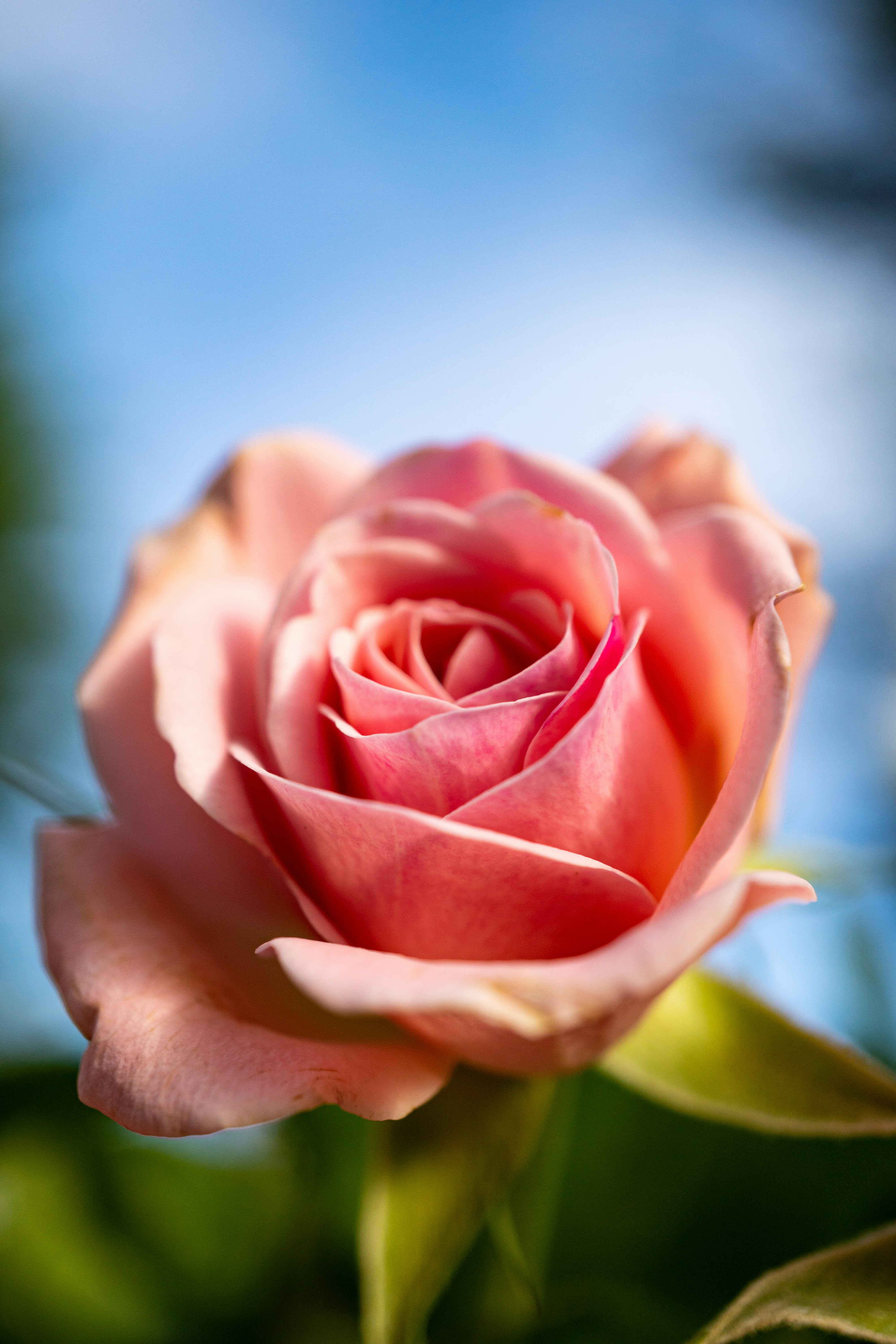 Photo by marcoangelo