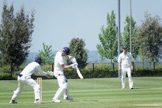 a group of men playing a game of cricket