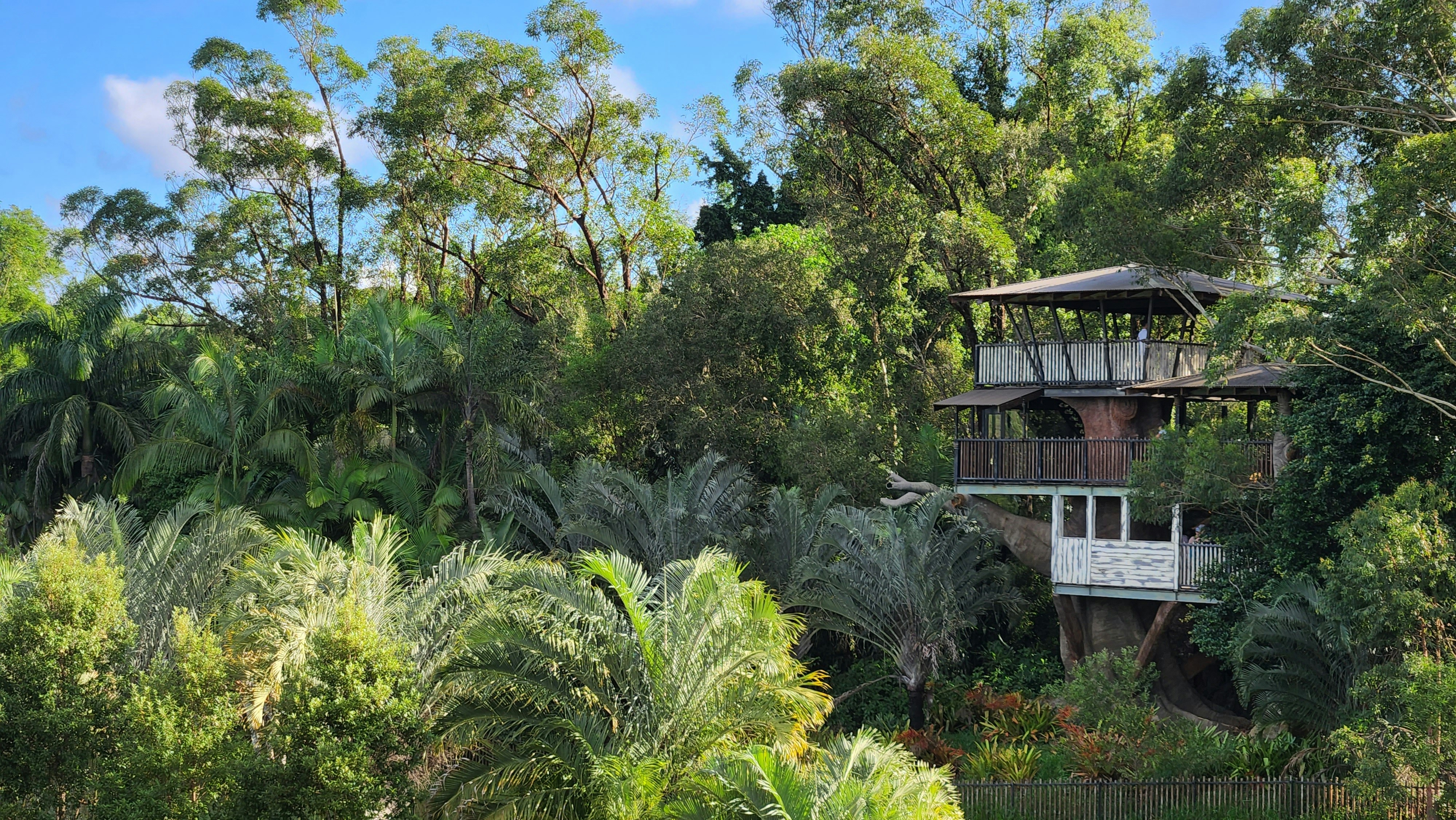 I quaderni del giardino: La casa sull'albero