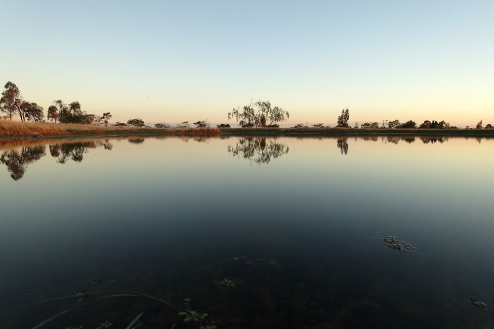 a large body of water surrounded by trees