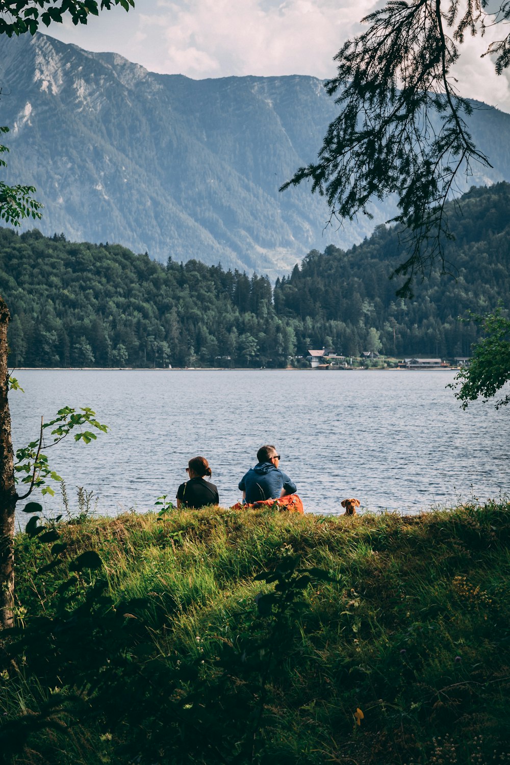 a couple of people sitting on top of a lush green hillside