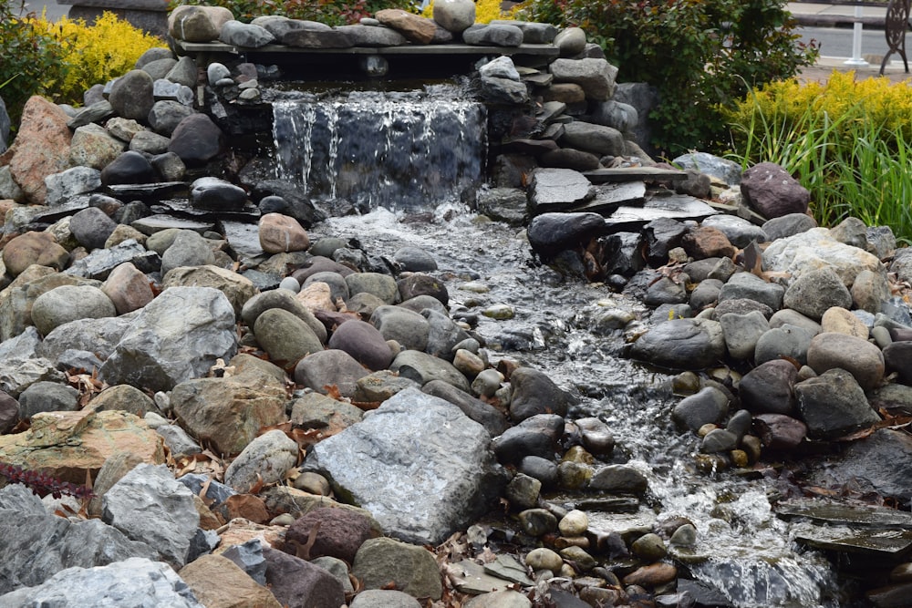 a small waterfall surrounded by rocks and plants