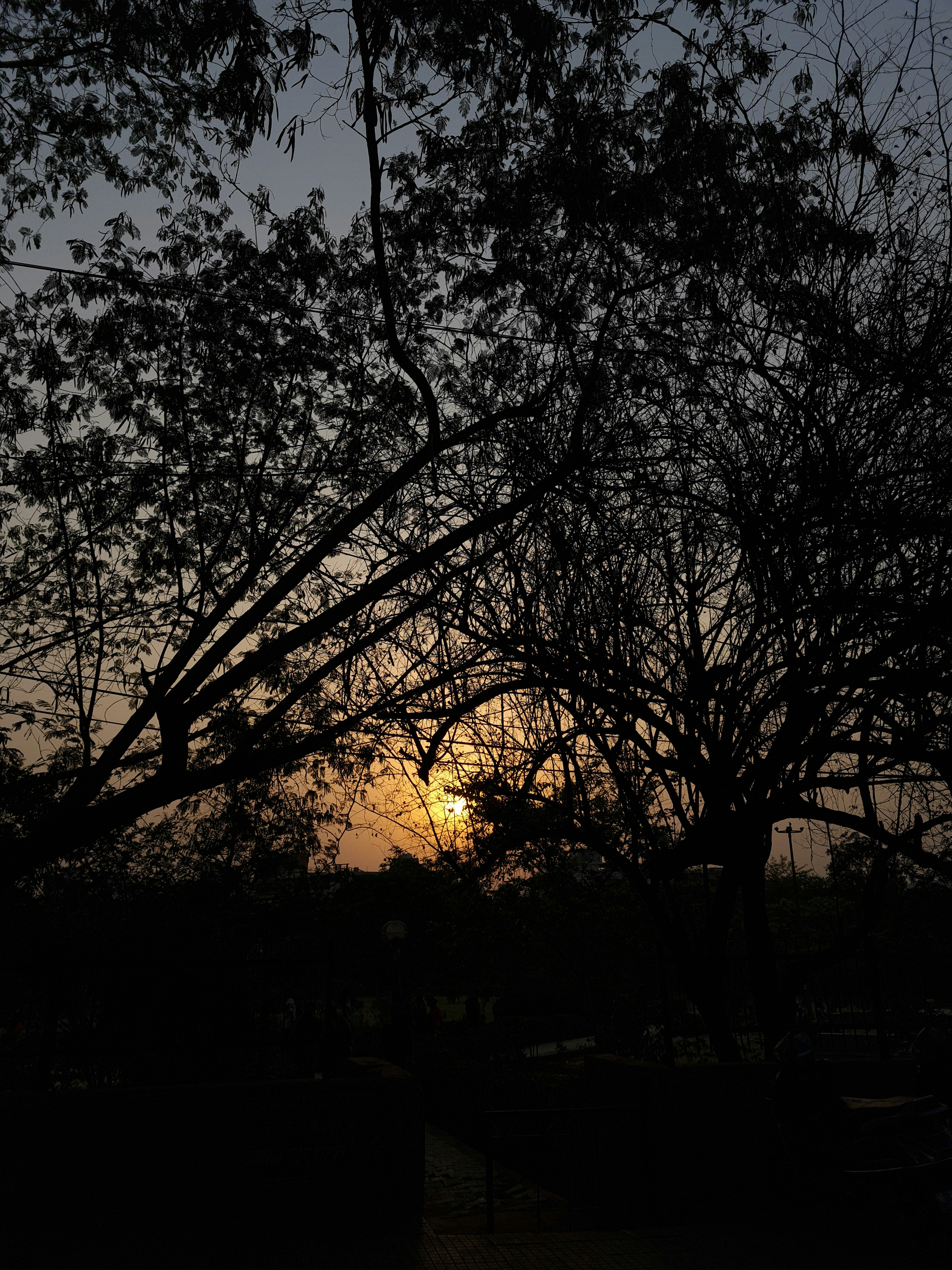 Photo by rhythmkwatra