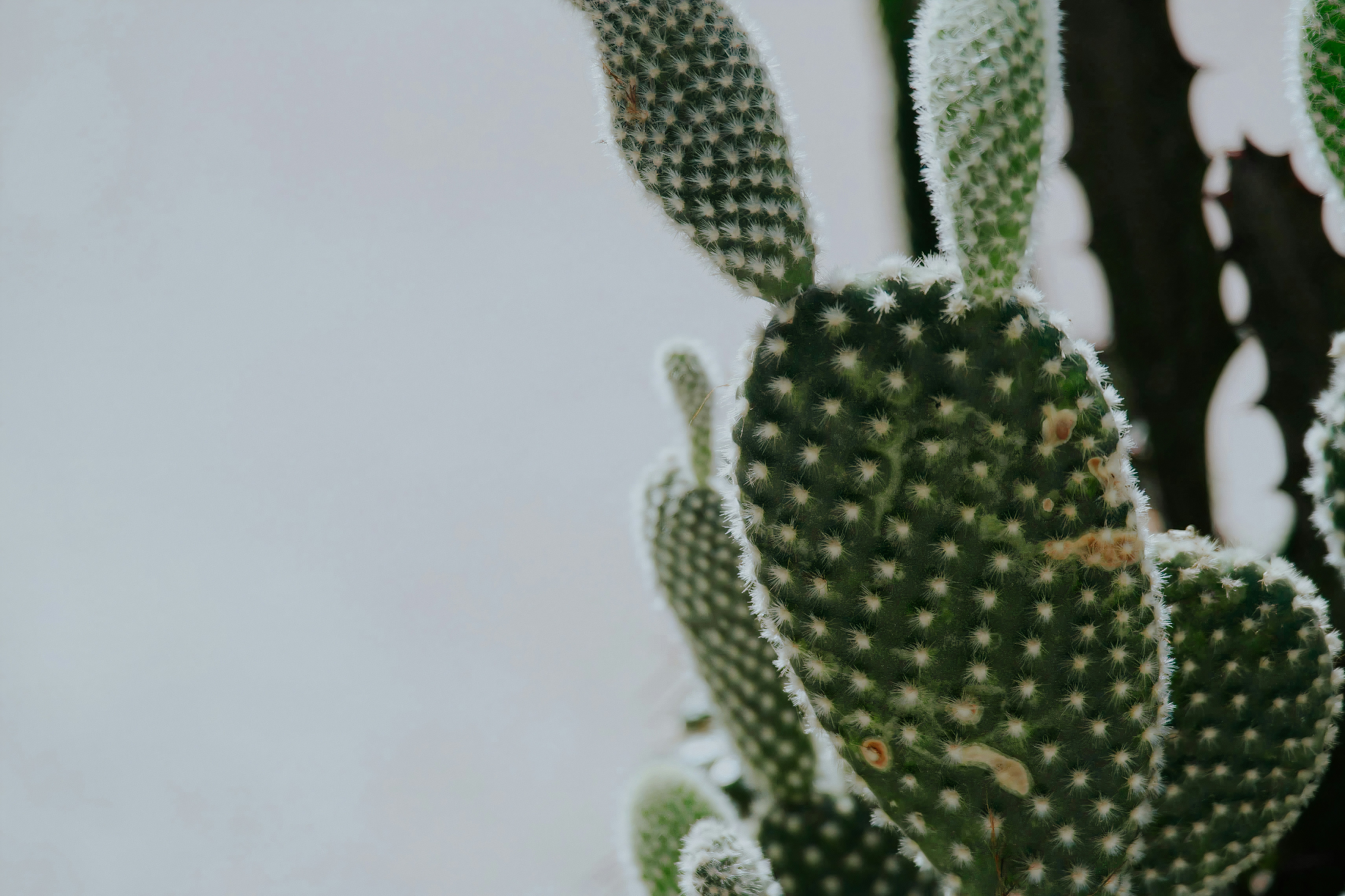 Photo by taylorngregory