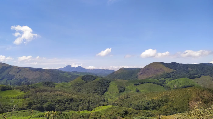 Kumily and Meghamalai