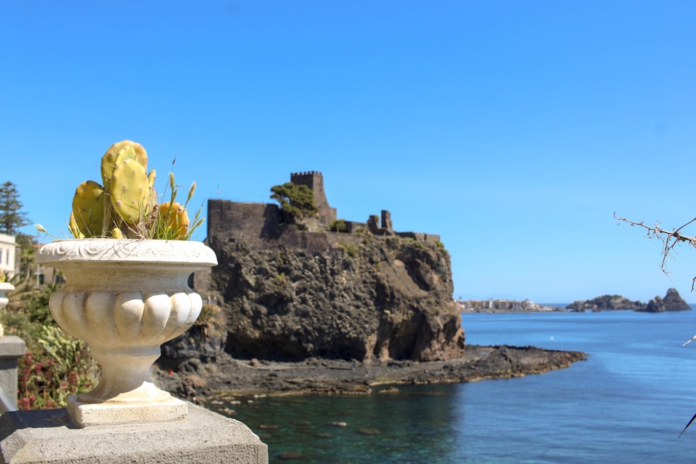 a planter with a cactus in it on a balcony overlooking the ocean