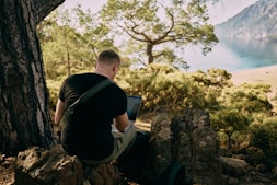a man sitting on top of a rock next to a tree