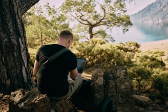 a man sitting on top of a rock next to a tree