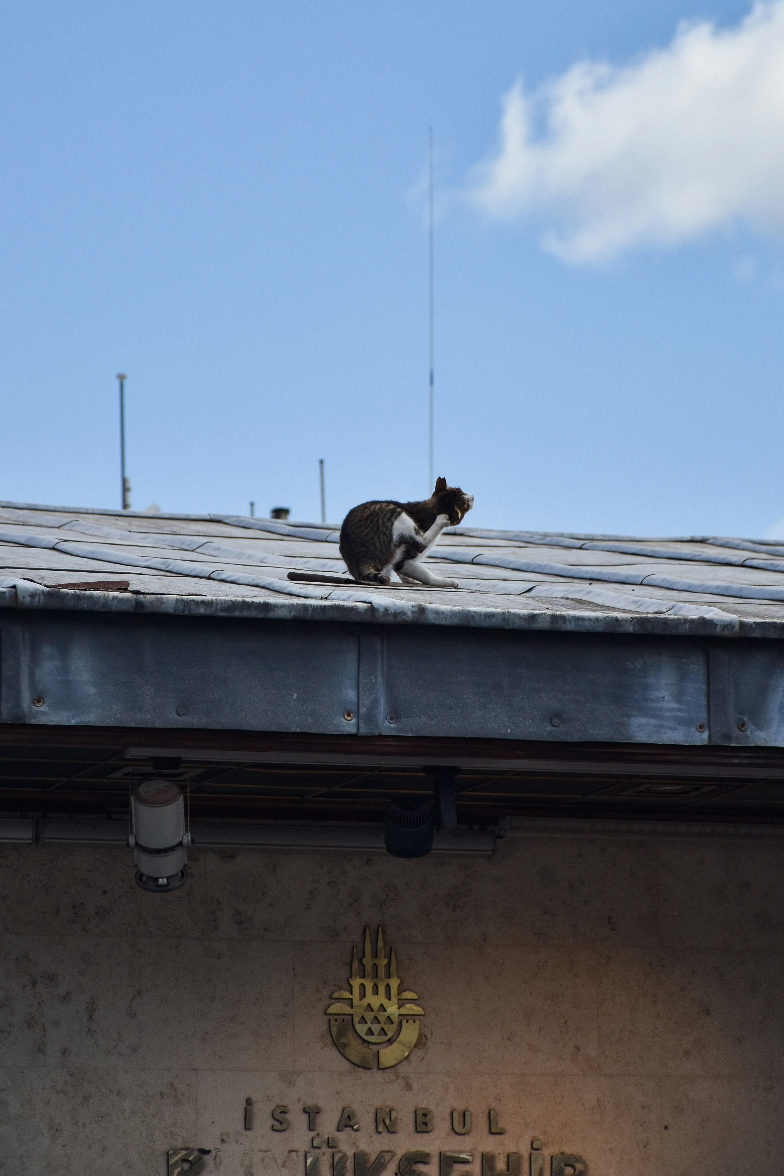 Photo by artem_makarov