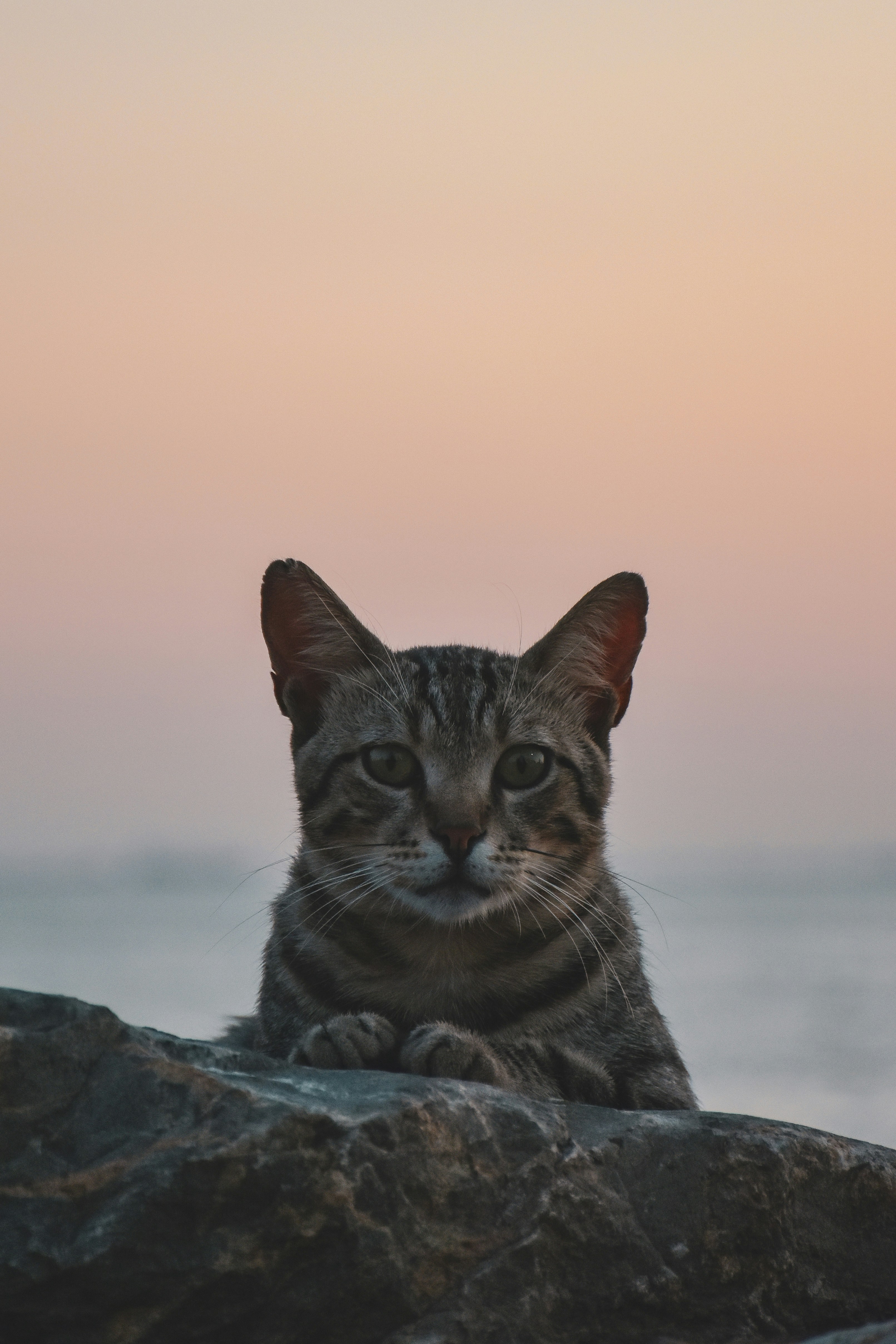 Photo by artem_makarov