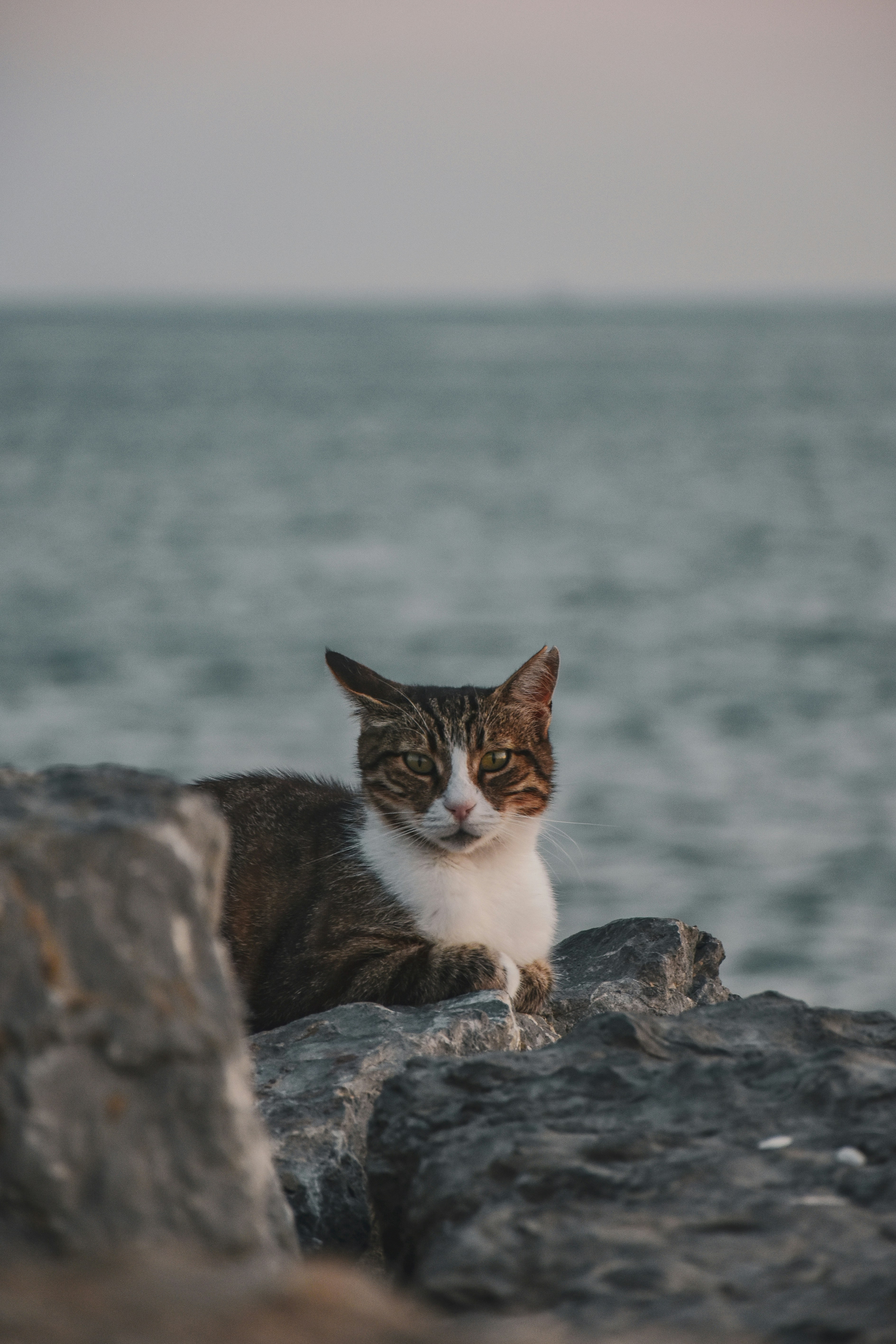 Photo by artem_makarov