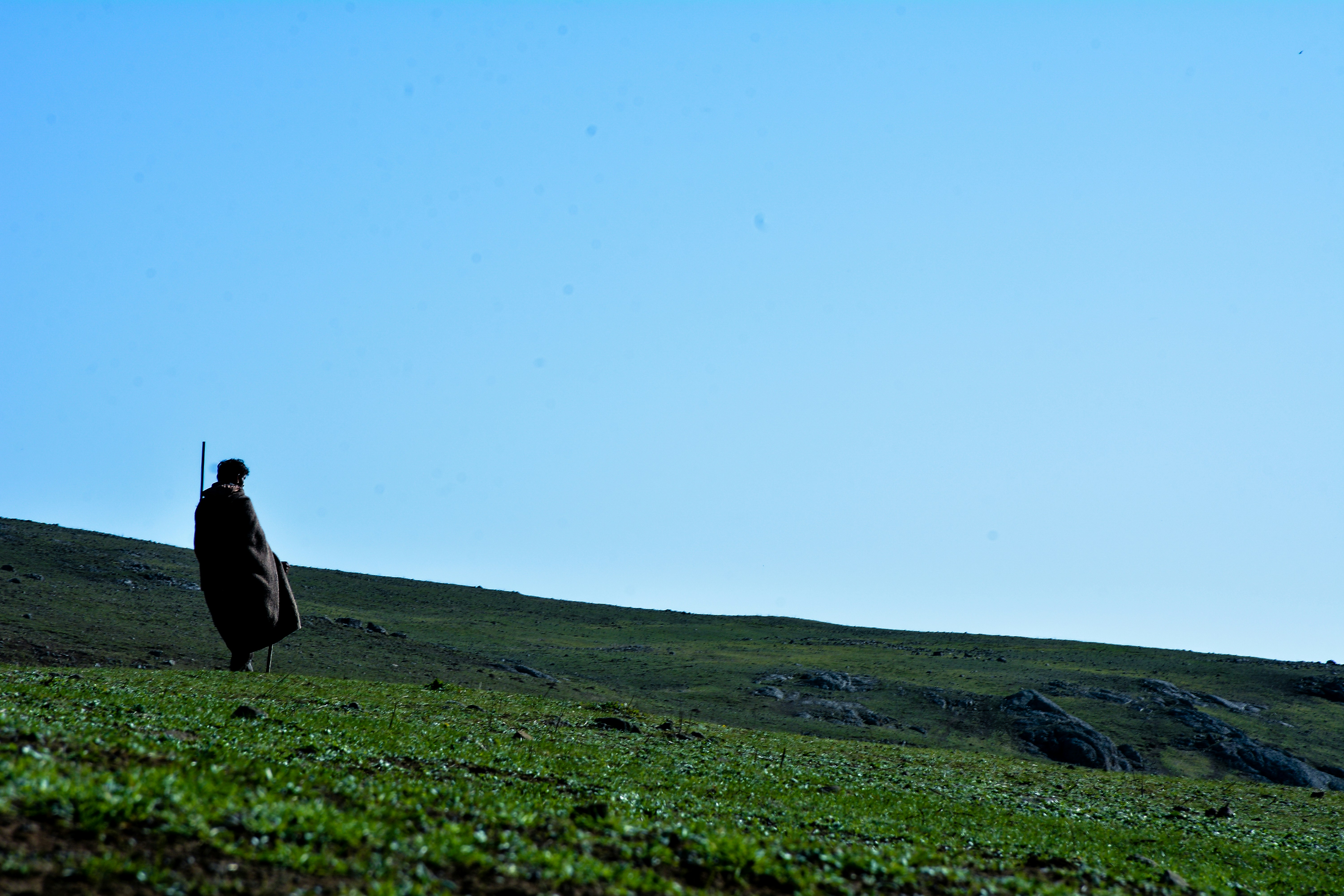 Photo by mil8