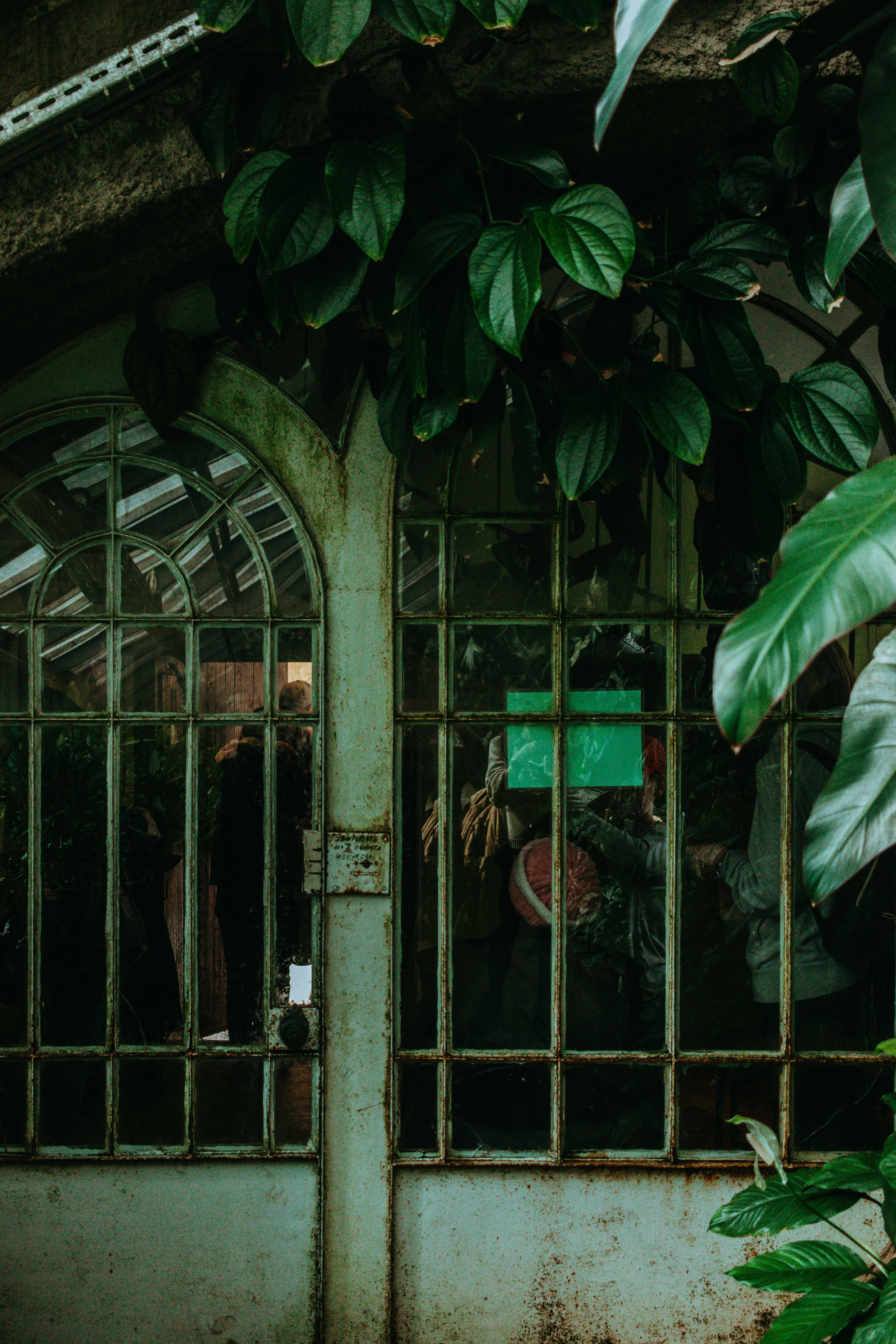 Garden of the Fugitives photo 3