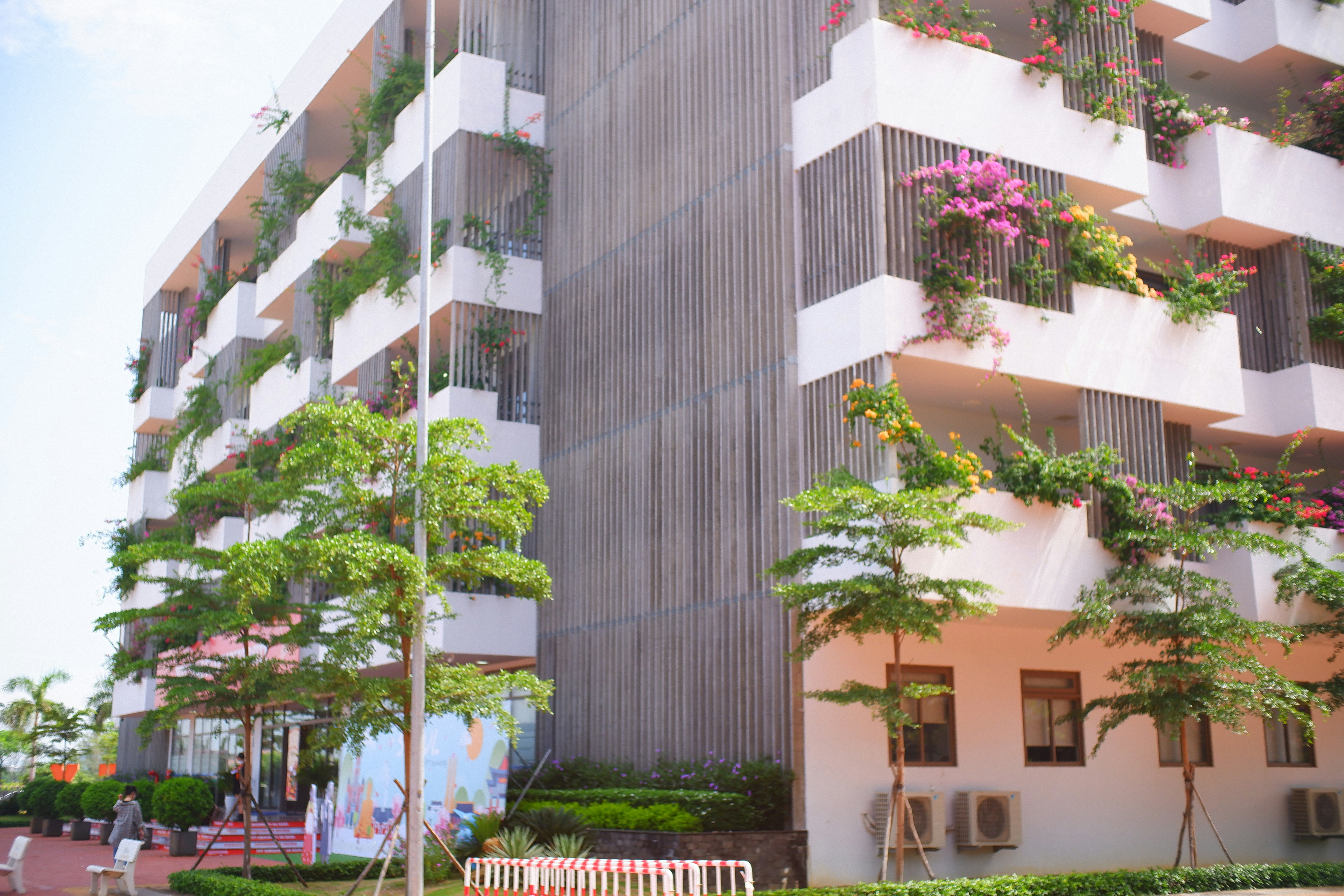 Photo by dvhoang2106