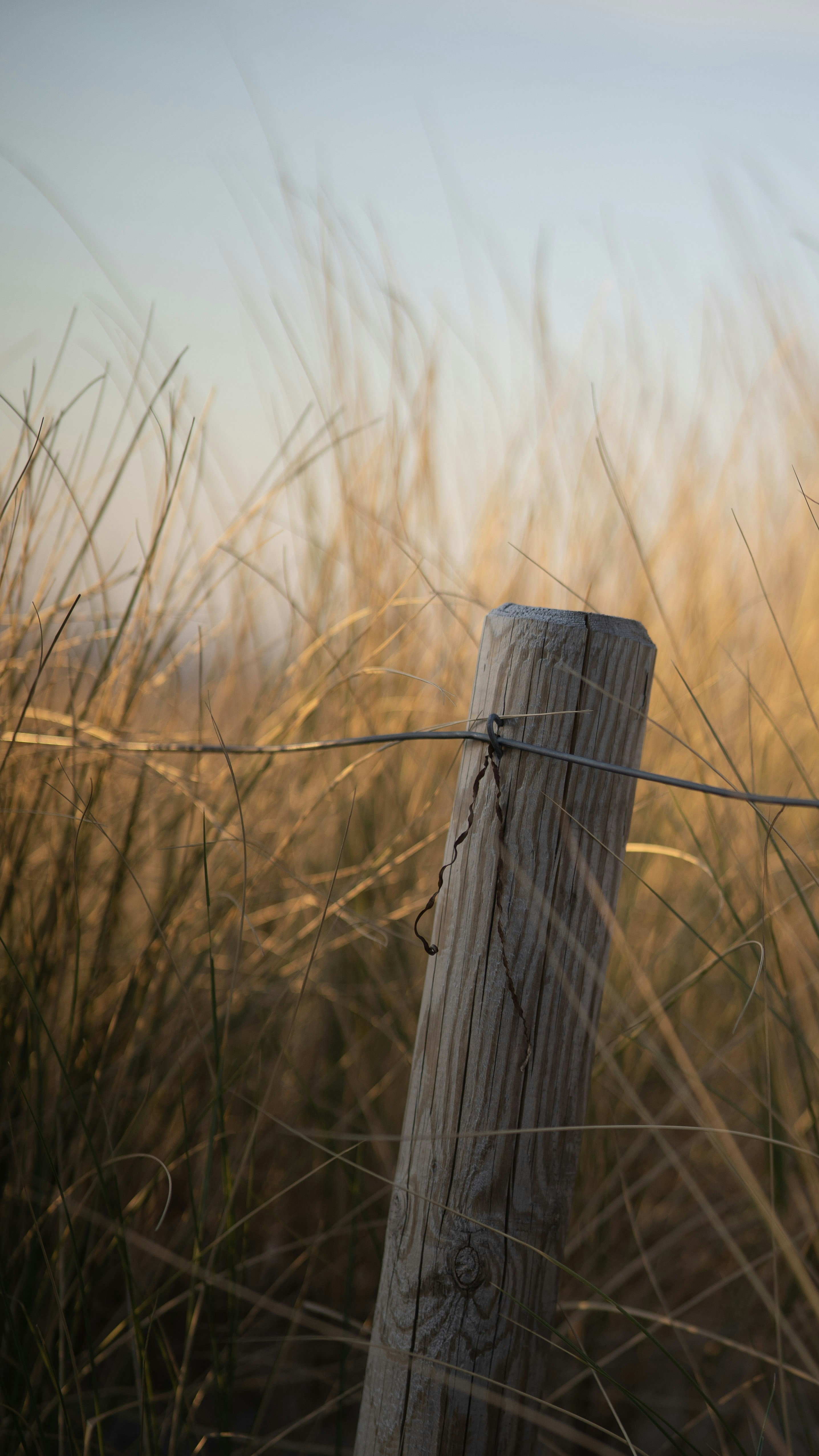 Photo by photo_david