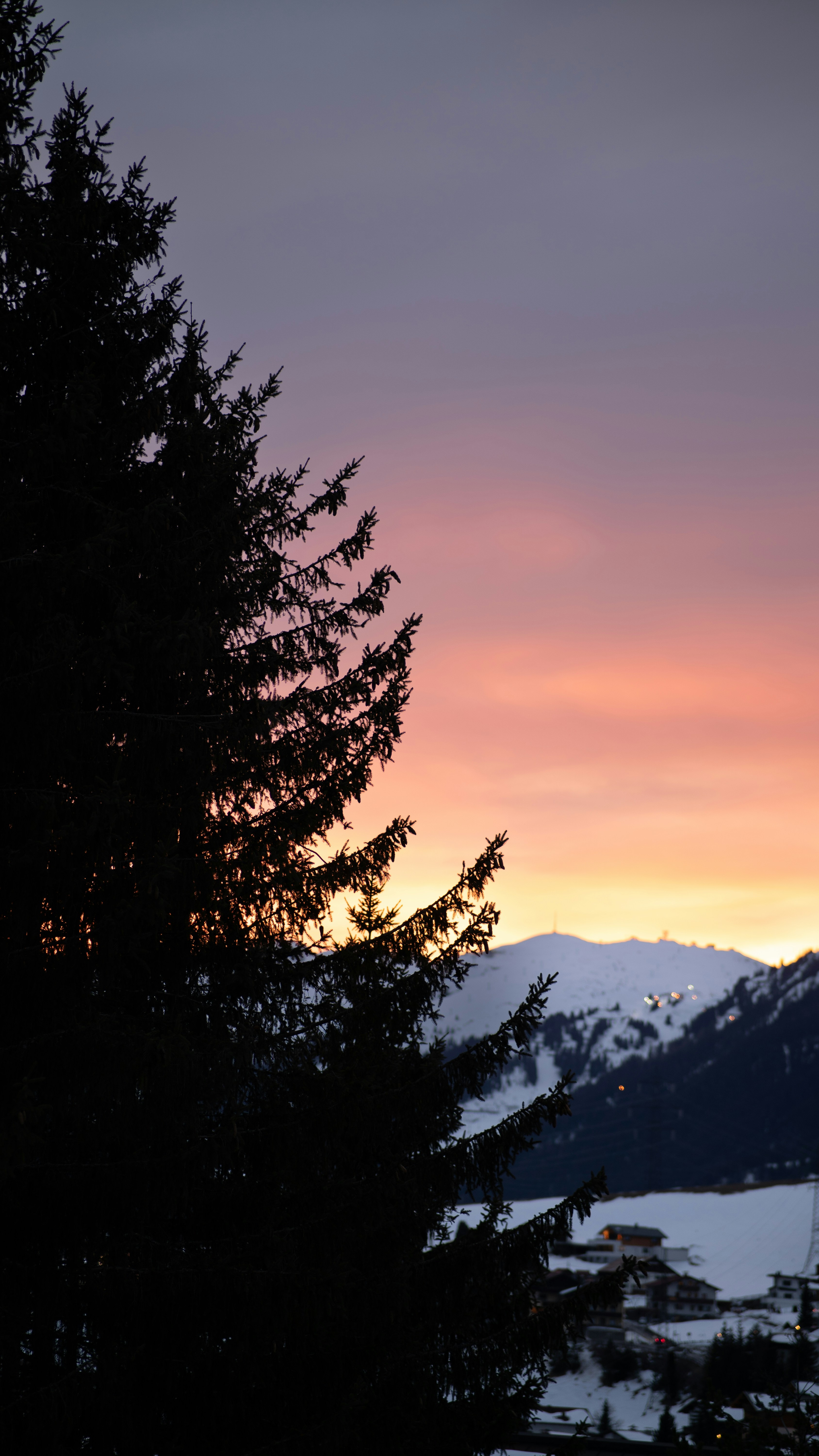 Photo by photo_david