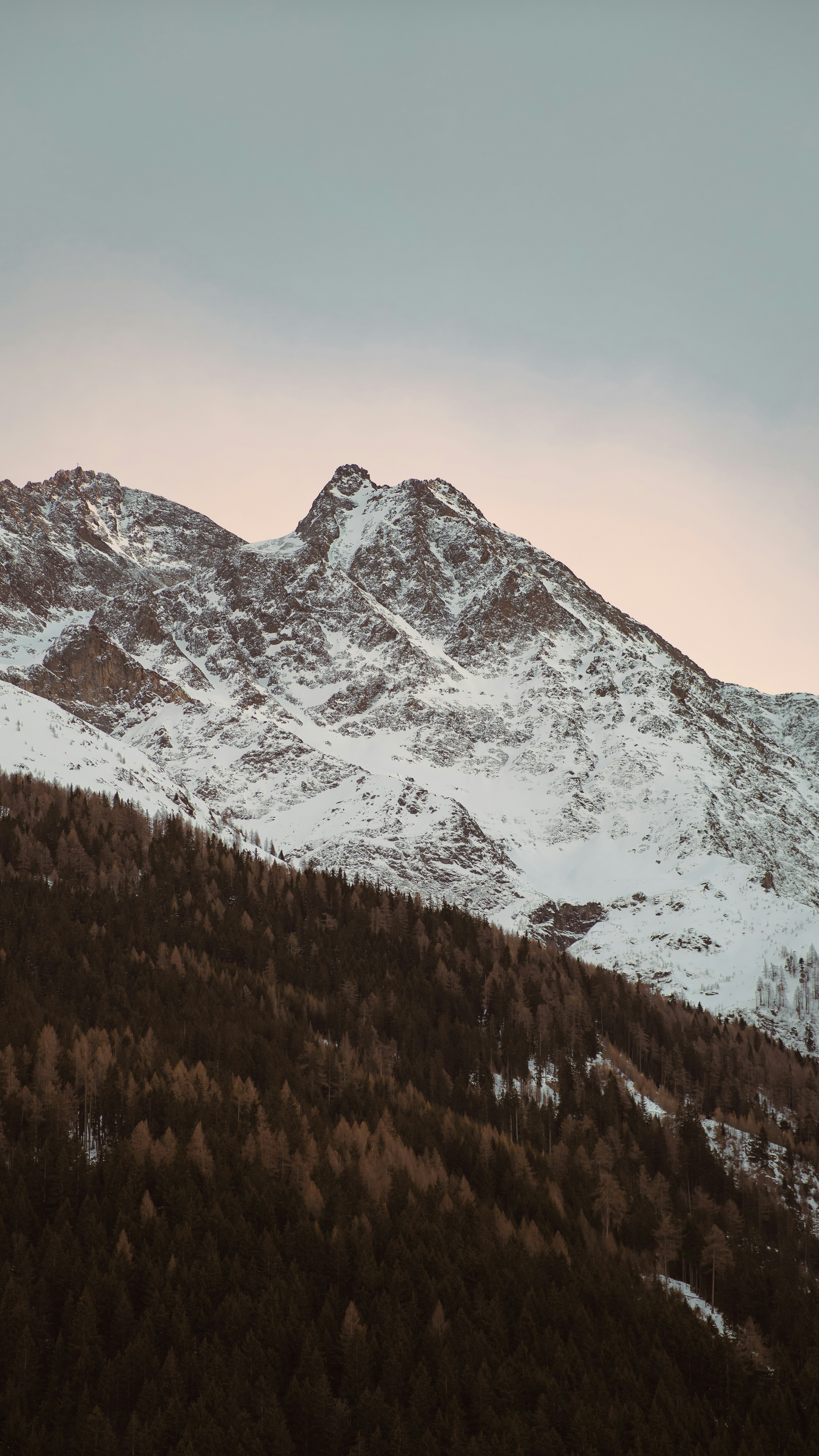 Photo by photo_david