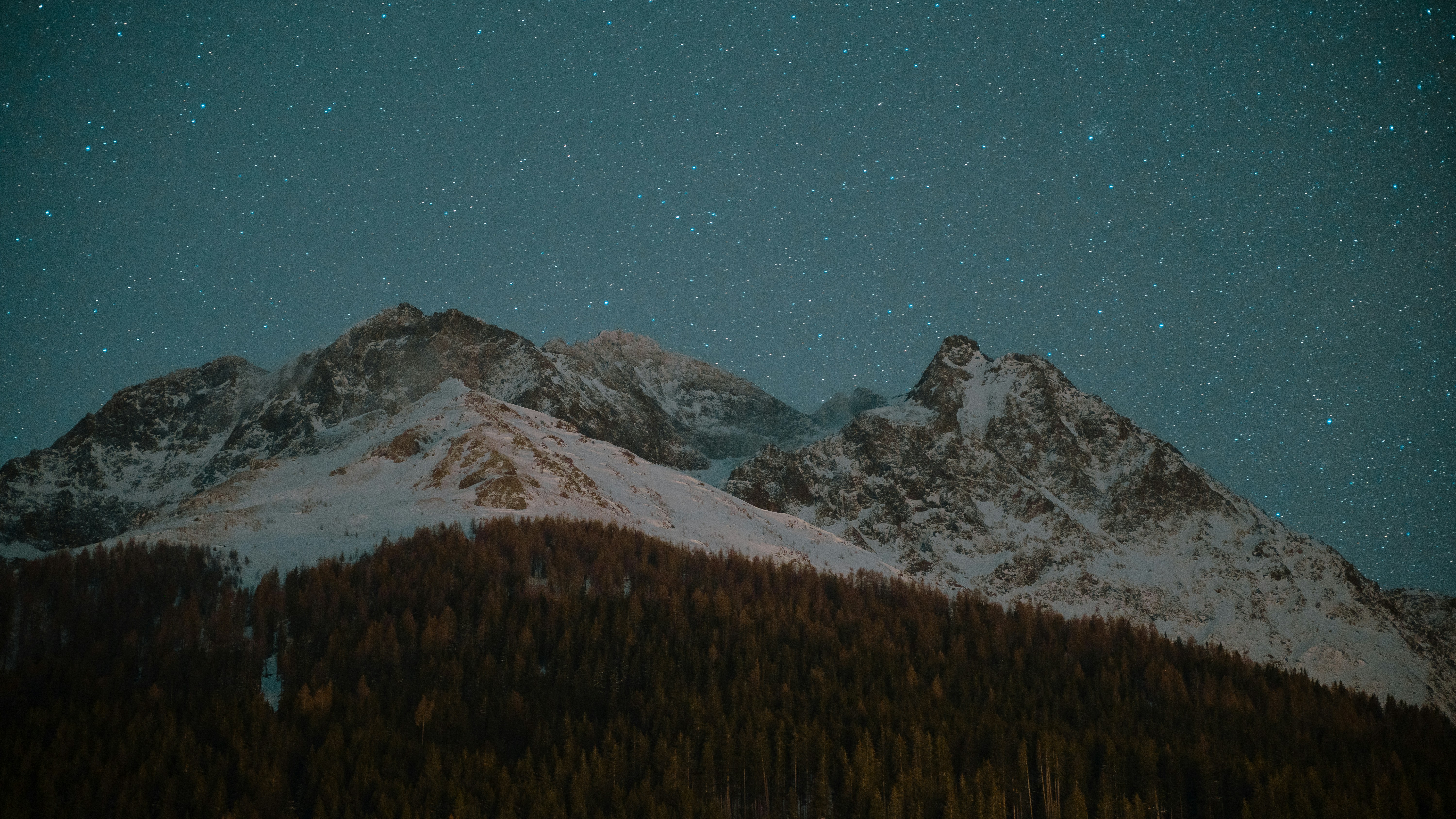 Photo by photo_david