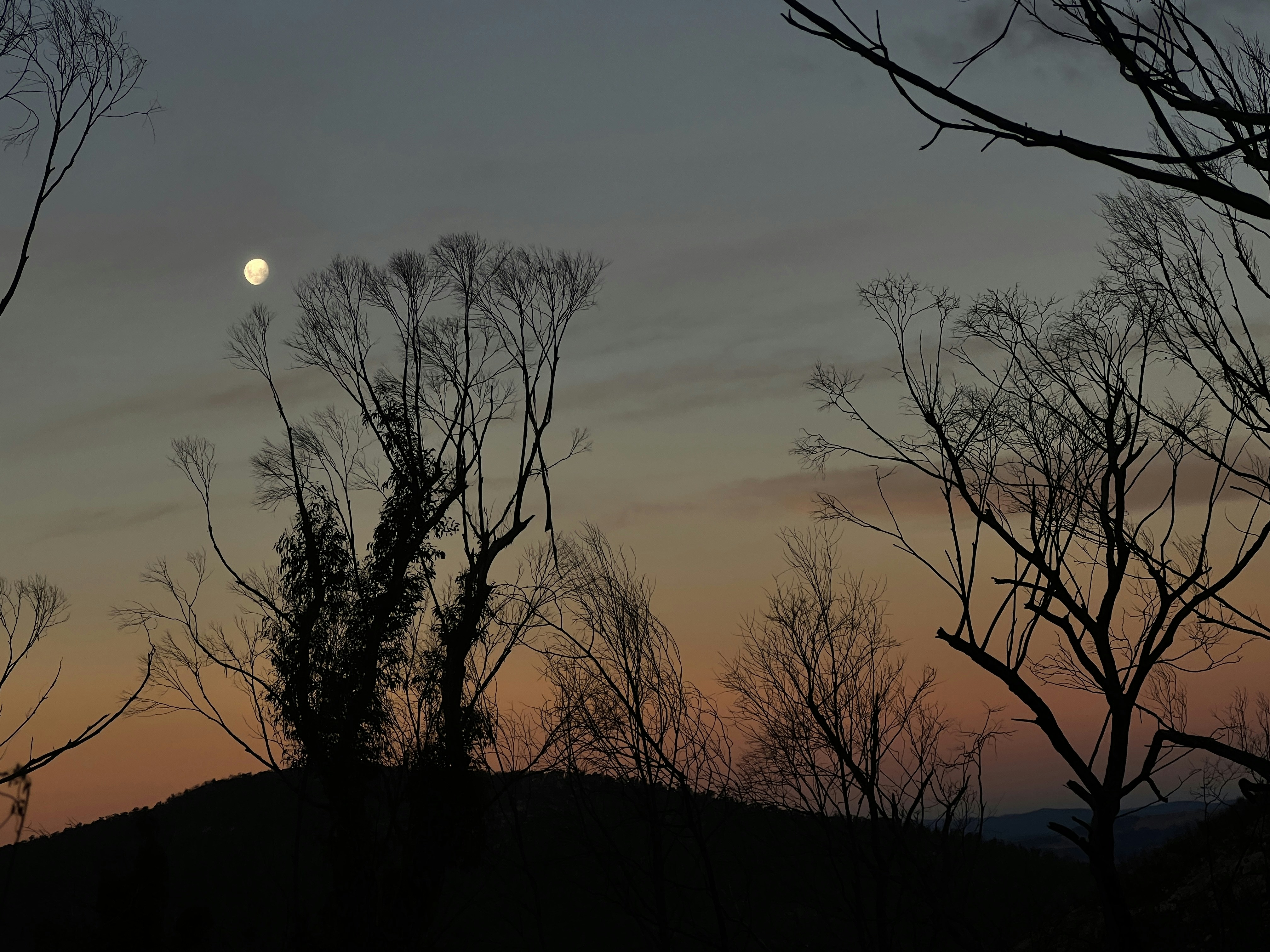 Photo by saroj20