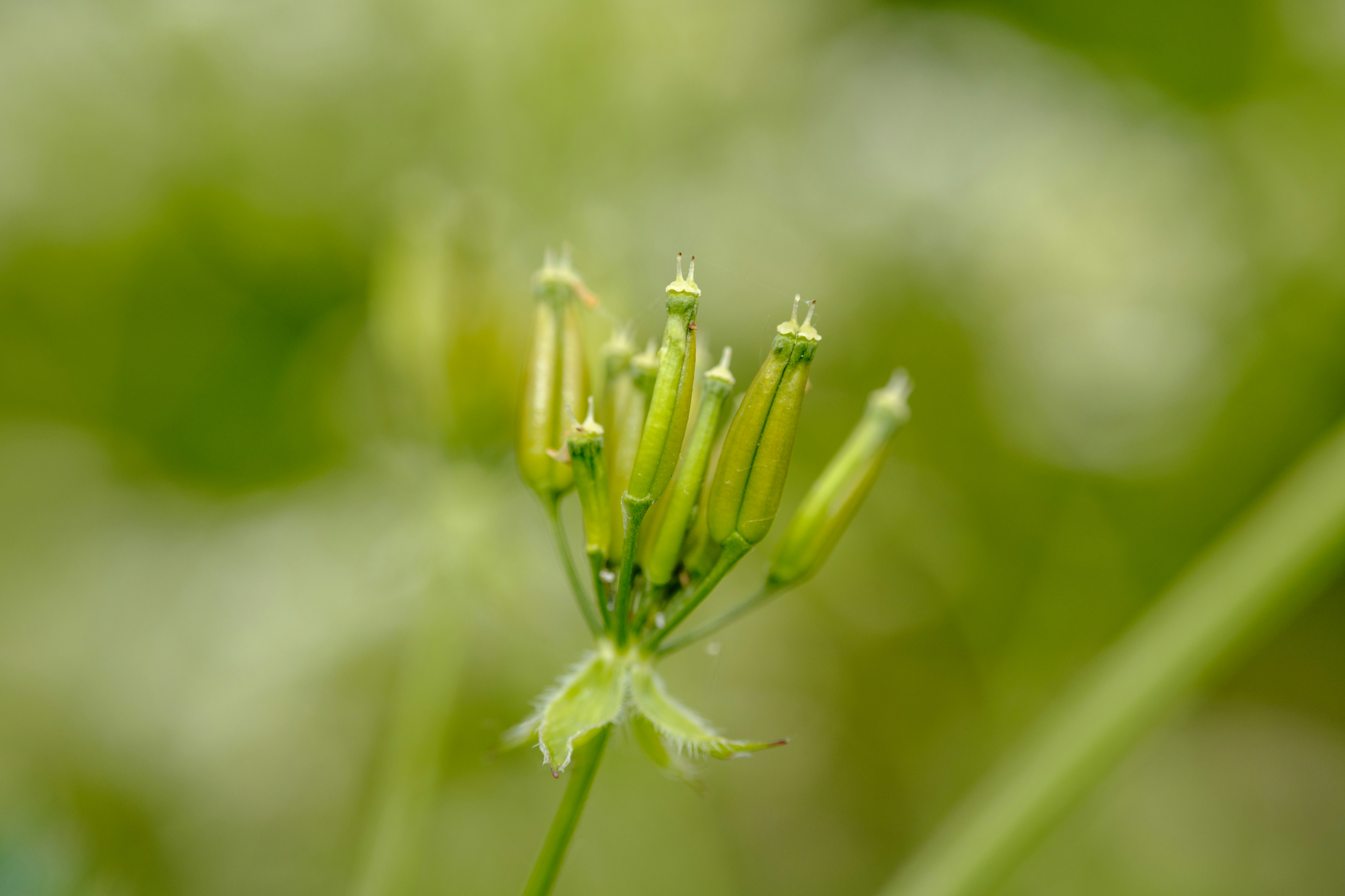 Photo by grievek1610begur
