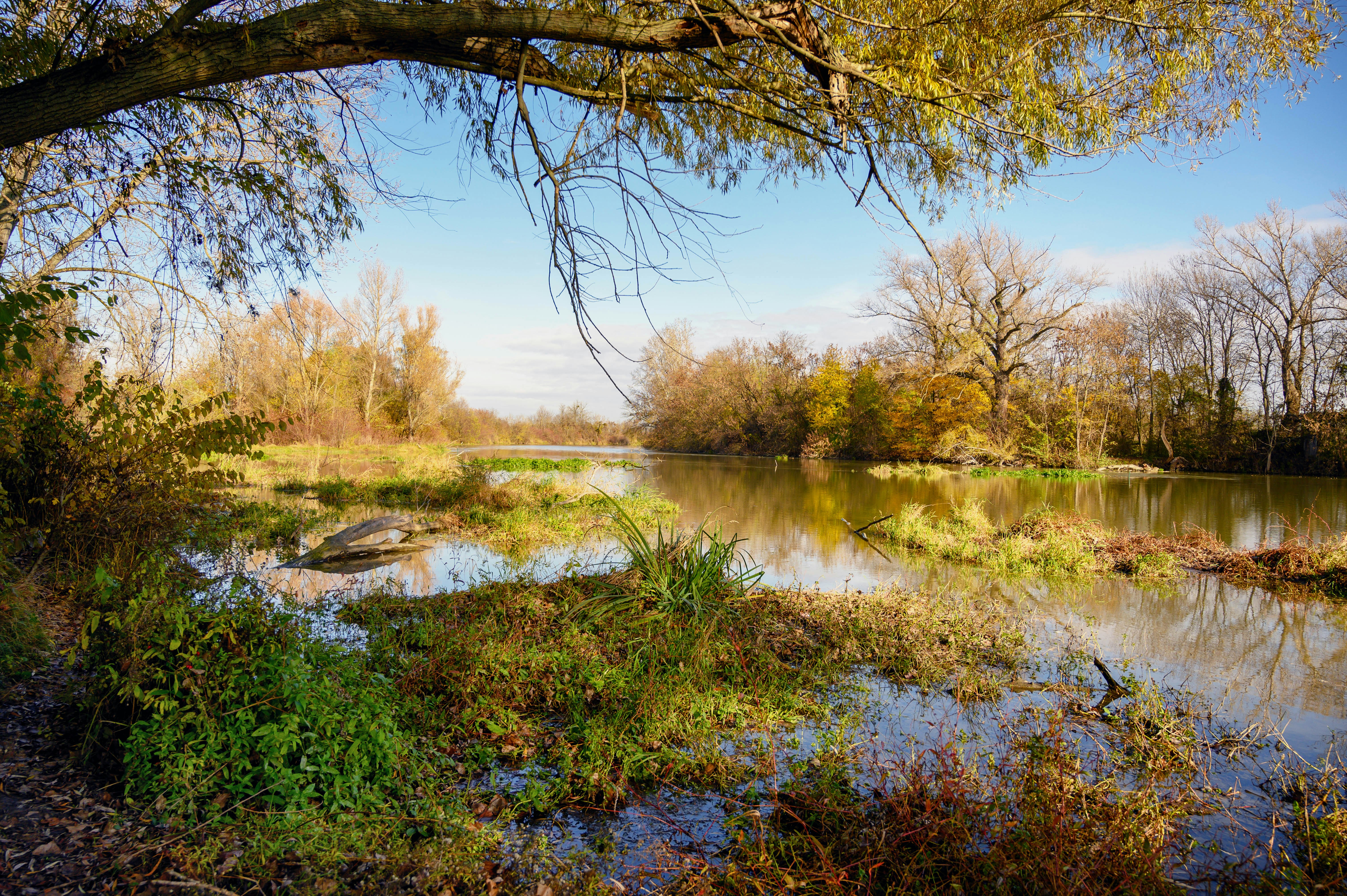 Photo by lacostercell