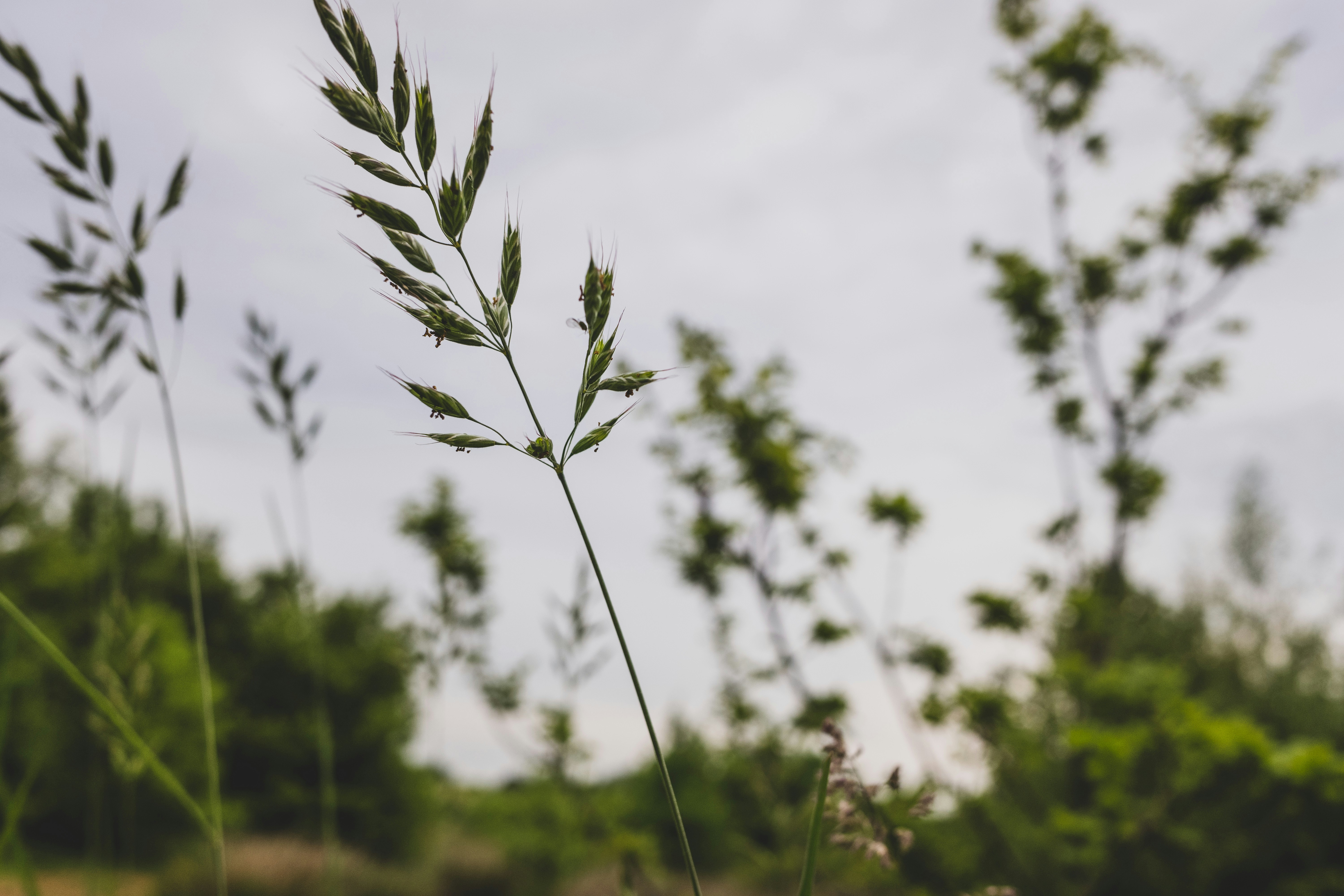 Photo by grievek1610begur