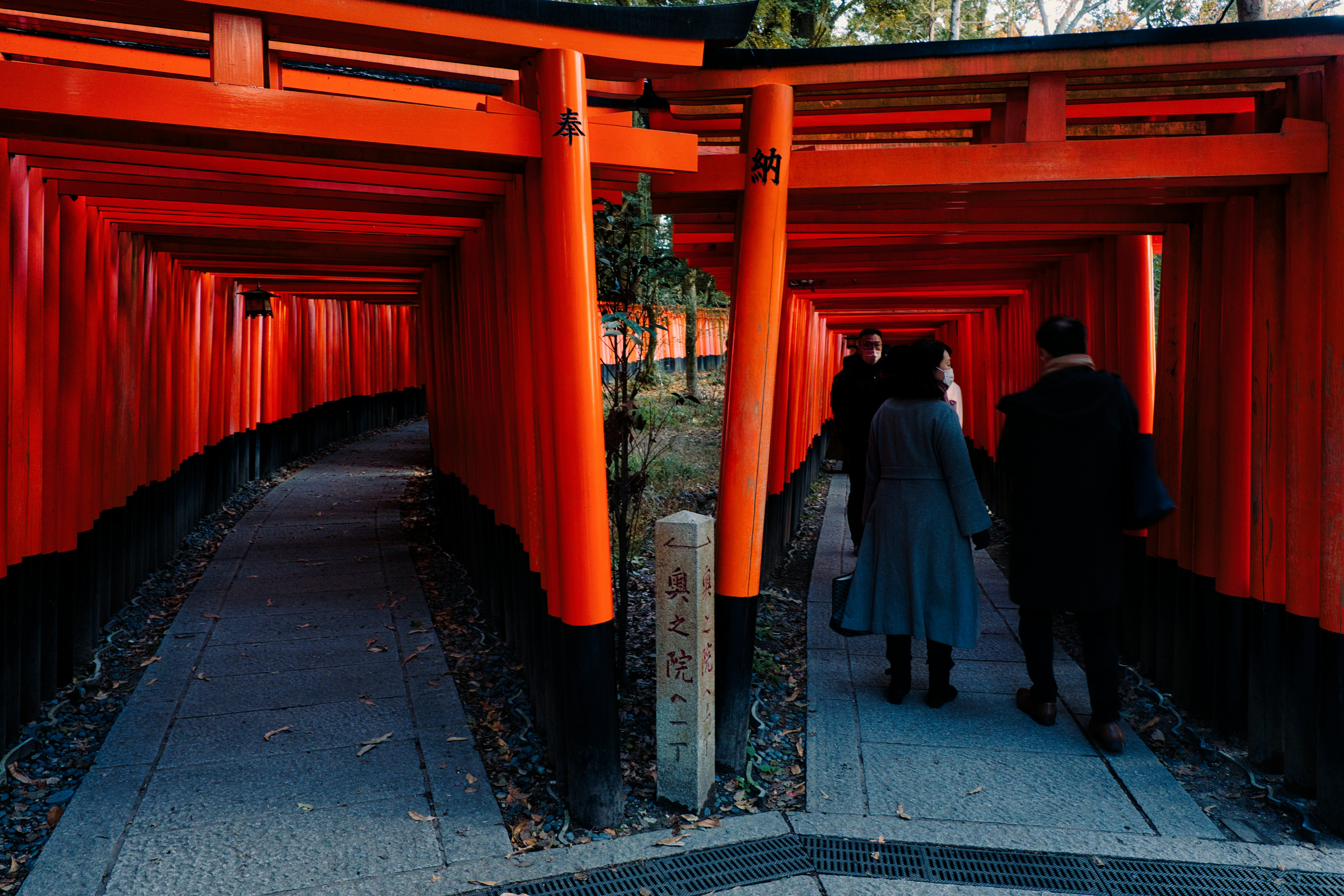 A couple of people that are walking down a path photo – Free Fushimi ...