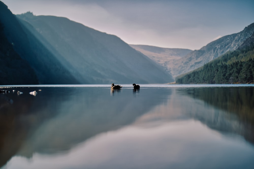 a couple of boats floating on top of a lake